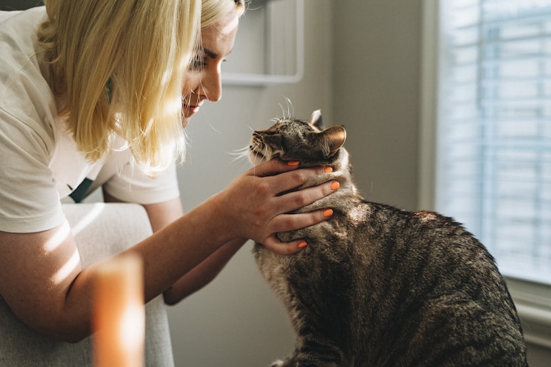 Veterinarian examining dog