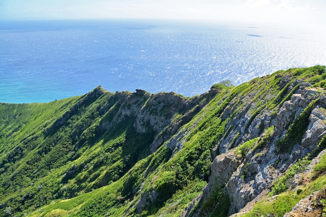 green mountain beside blue sea during daytime