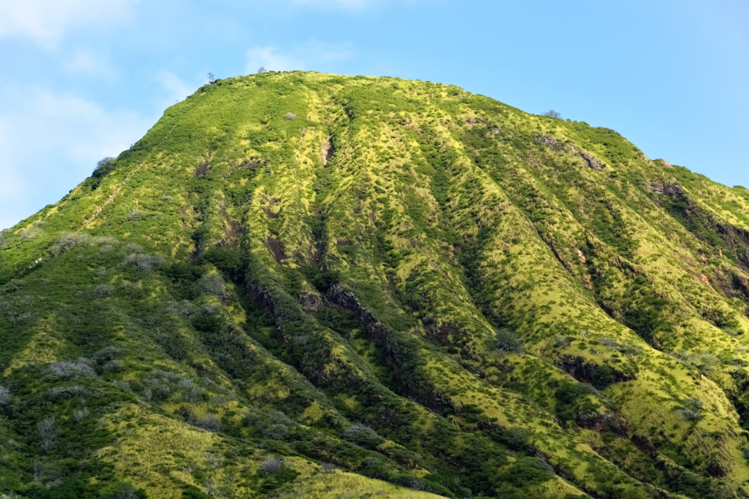 green moss on mountain during daytime