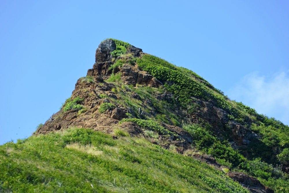 green and brown rock formation under blue sky during daytime