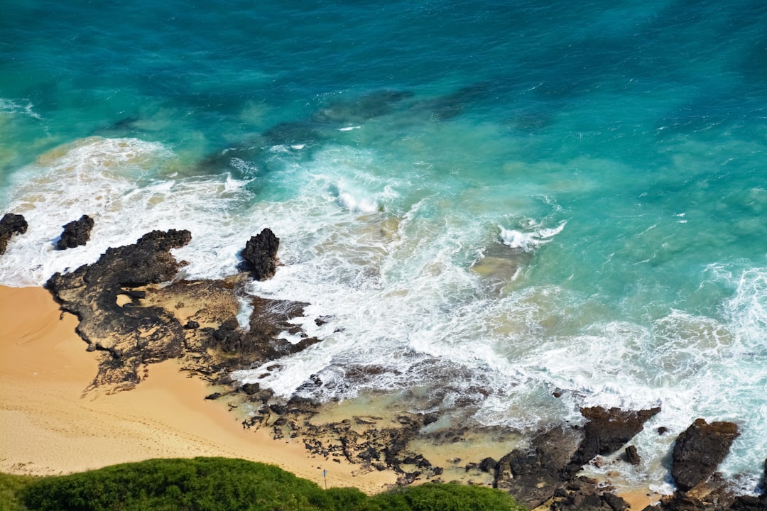 aerial view of beach during daytime