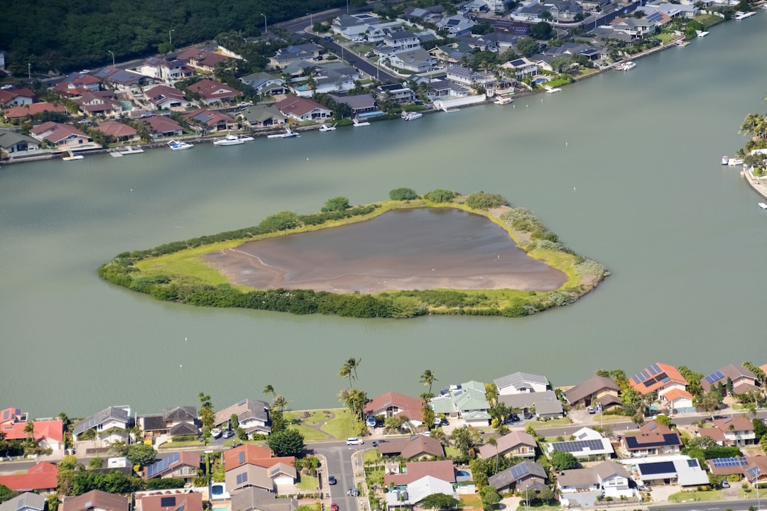 aerial view of green and brown field near body of water during daytime