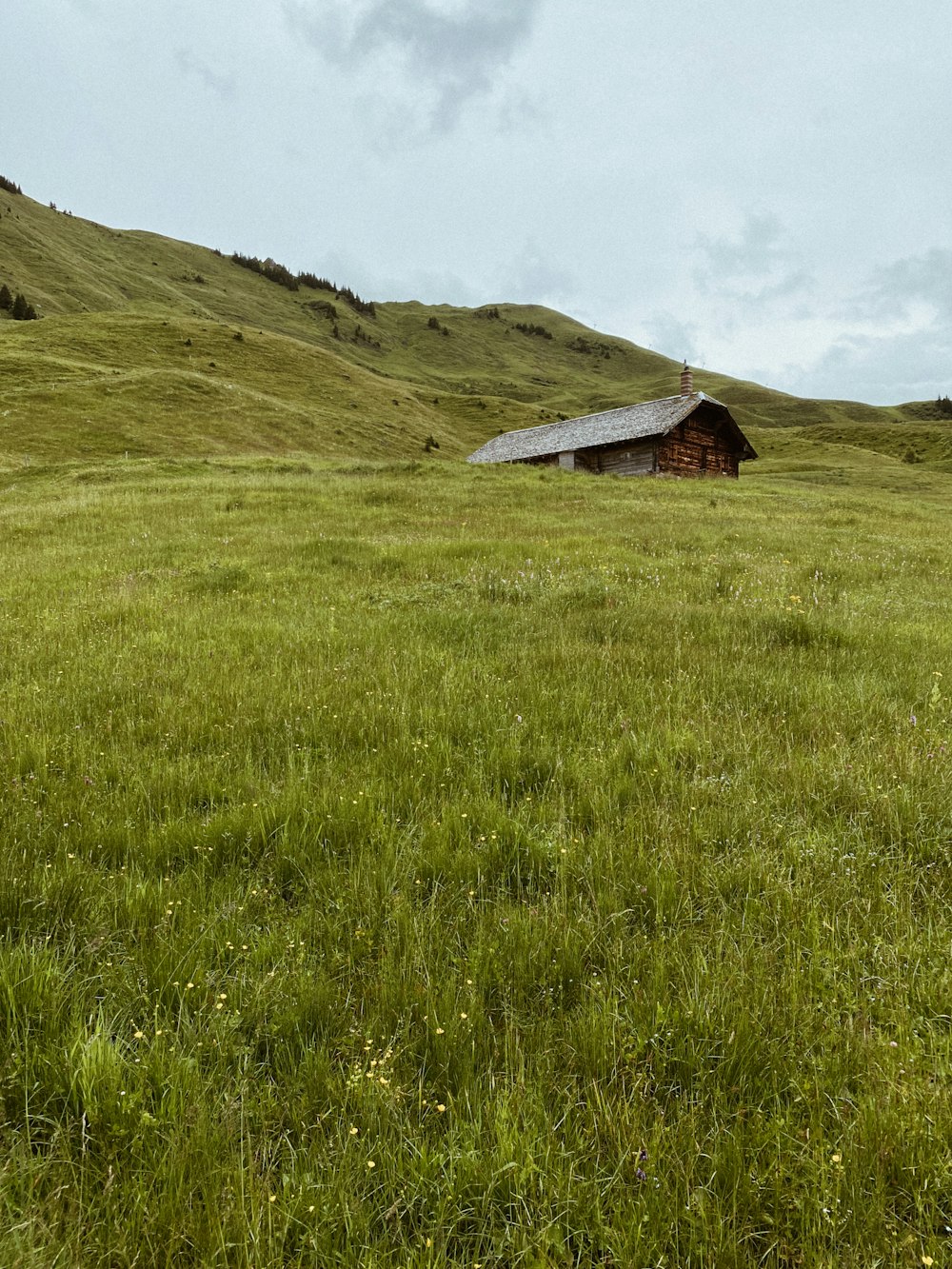 brown wooden house on green grass field during daytime