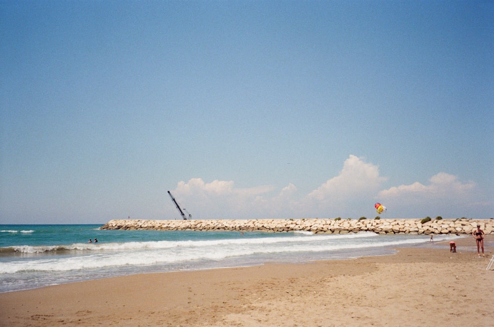 people on beach during daytime