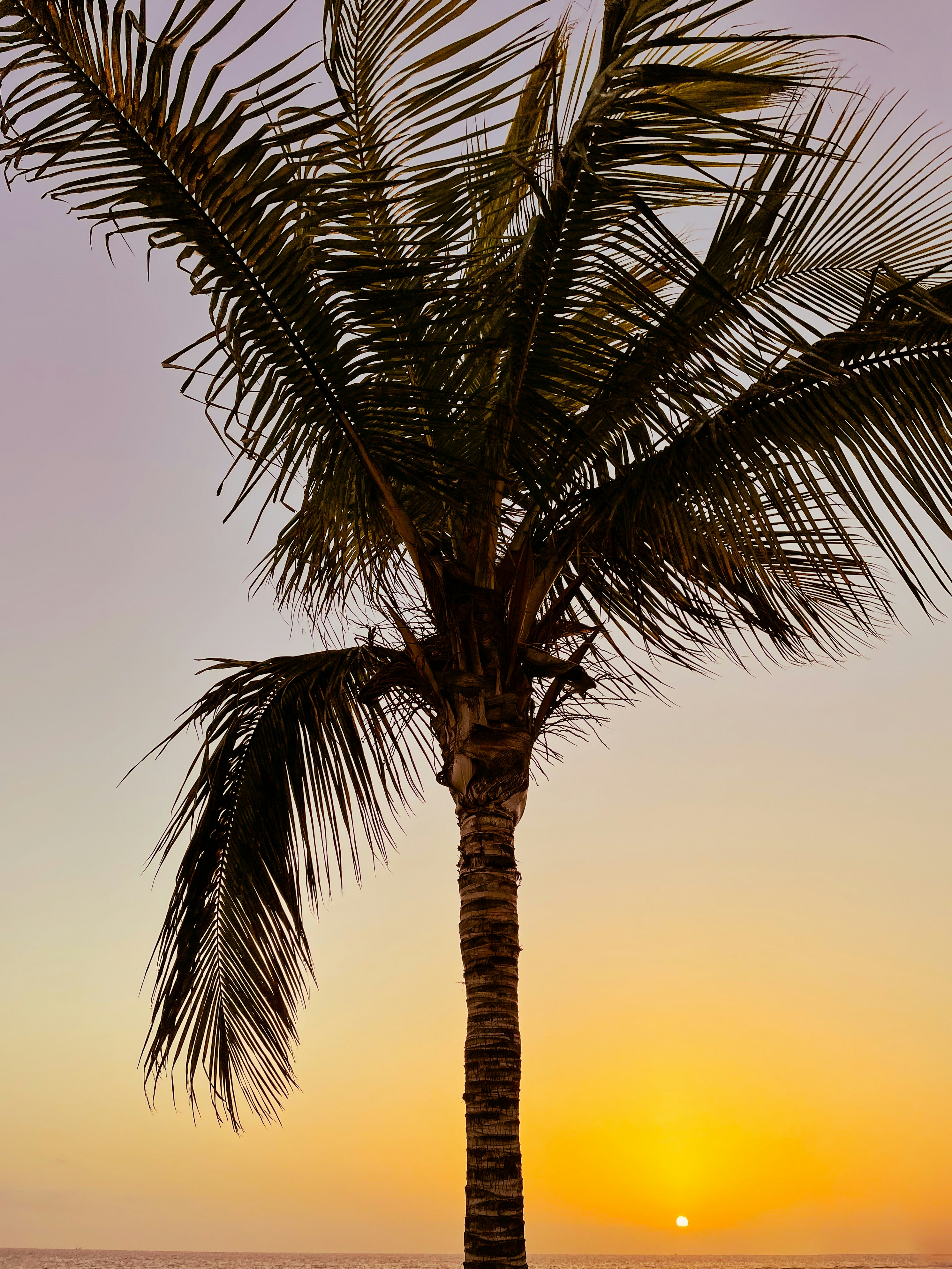 Photo by shinychunks