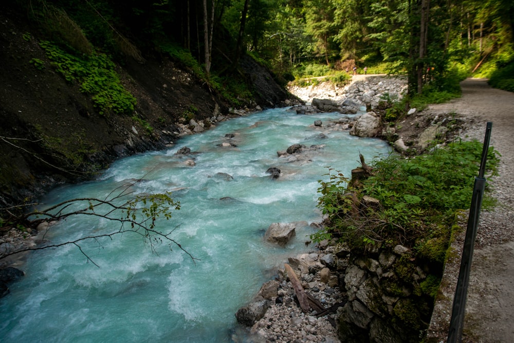 river in the middle of forest during daytime