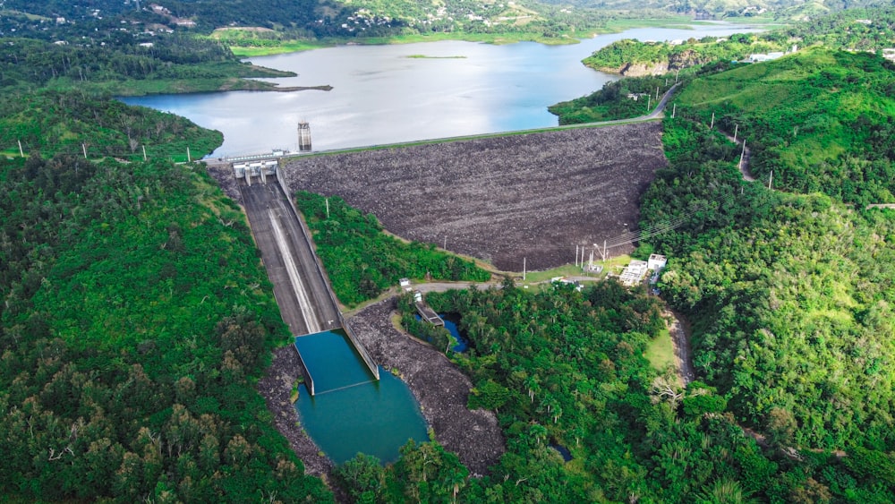 aerial view of green trees near body of water during daytime