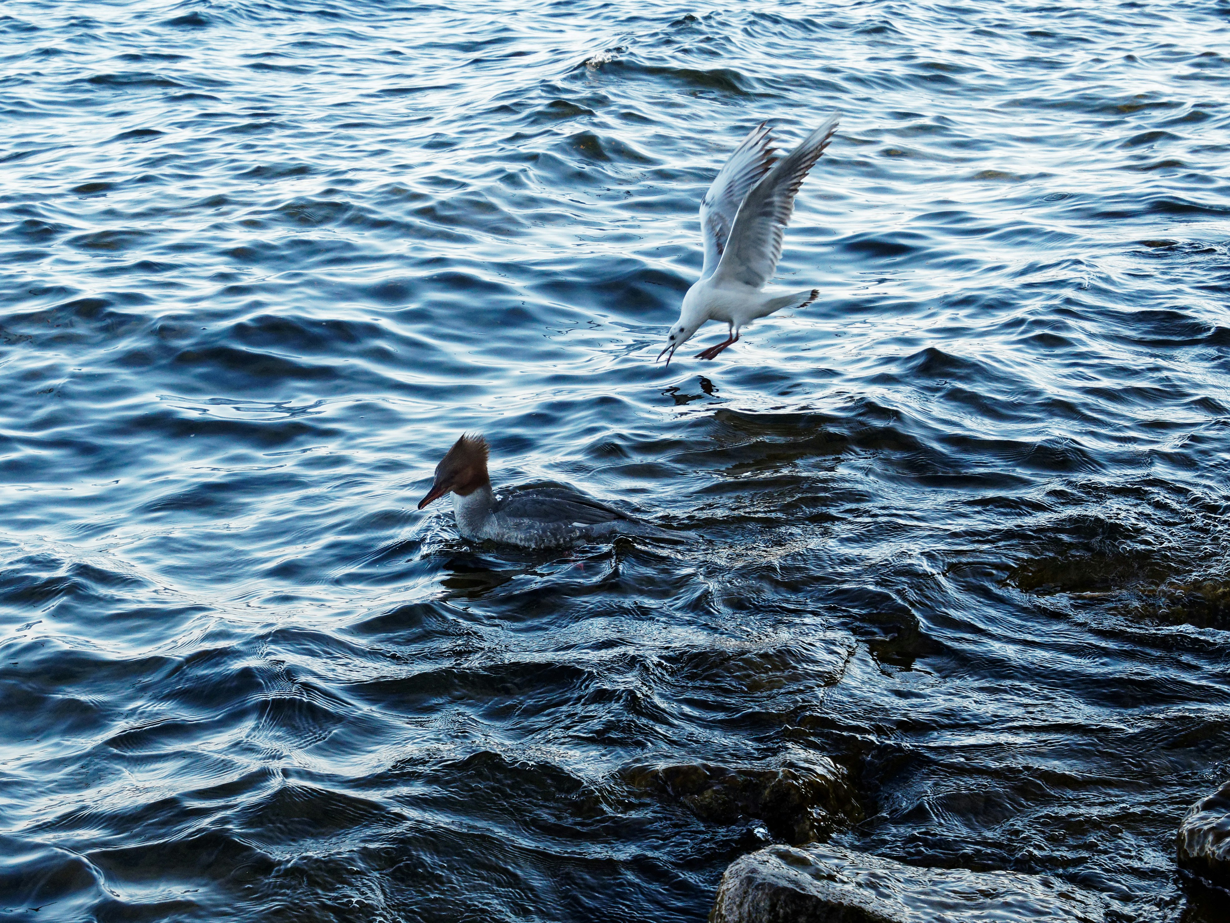 Photo by galerieseven