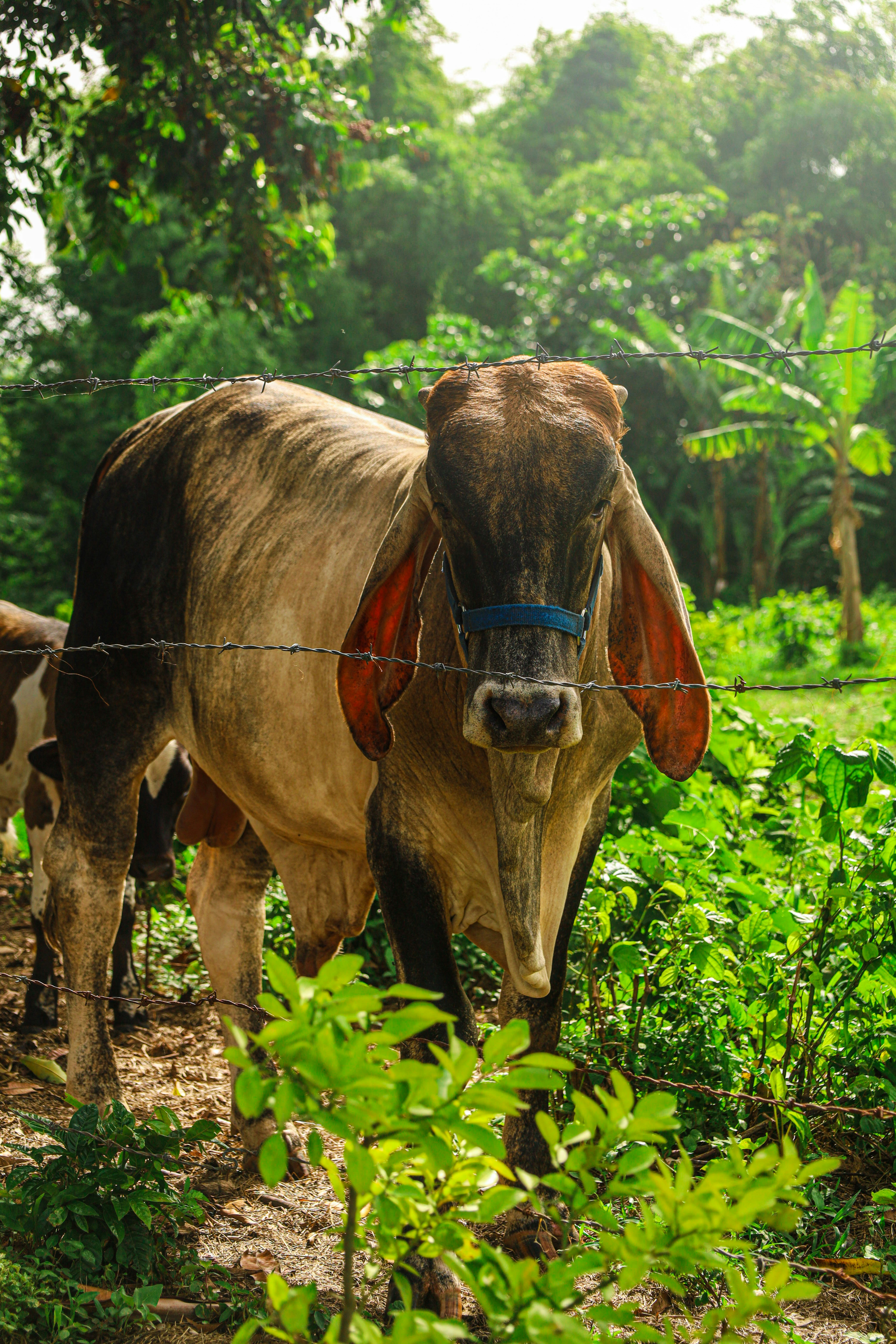 Photo by elojoboricua