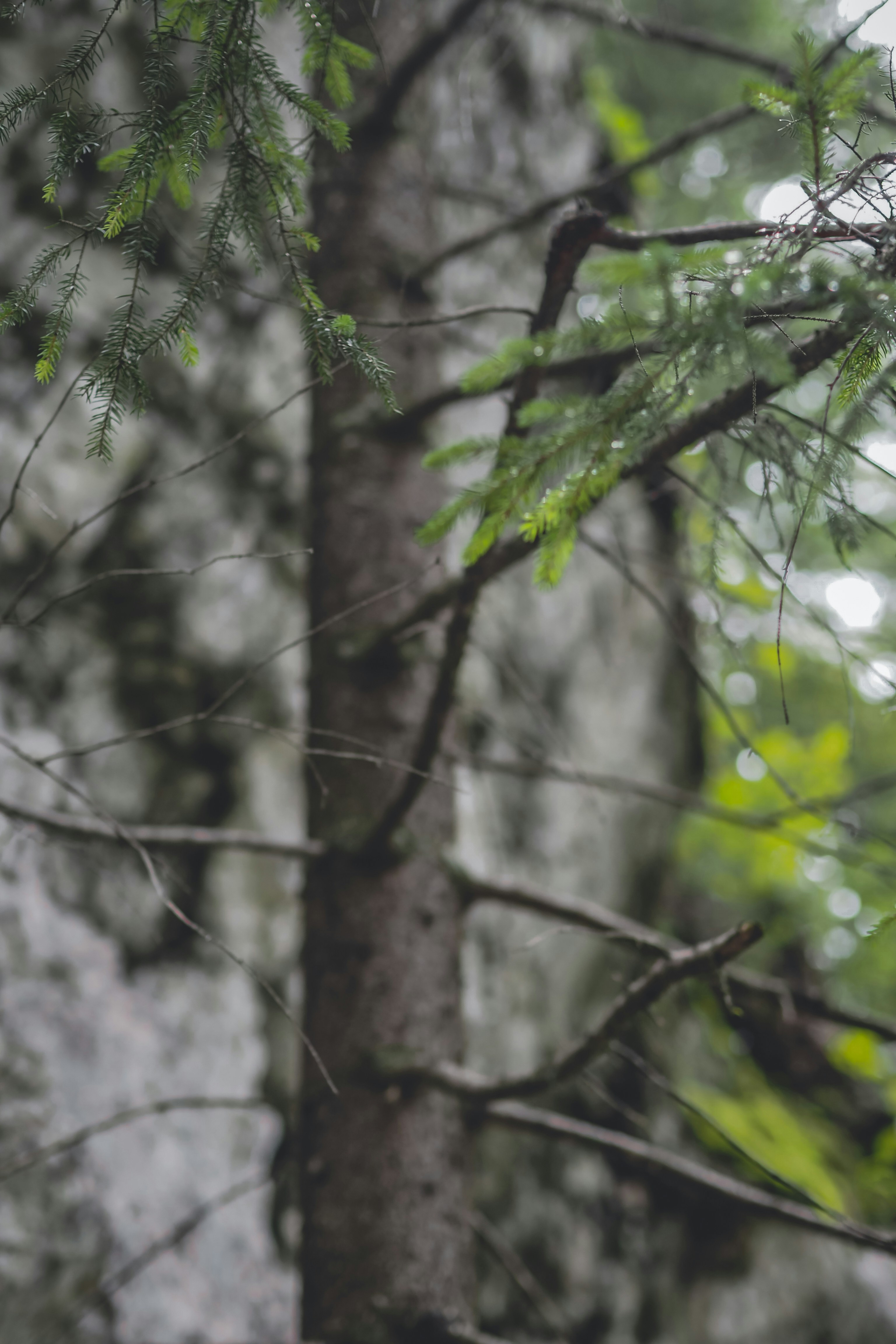 Photo by laurachouette