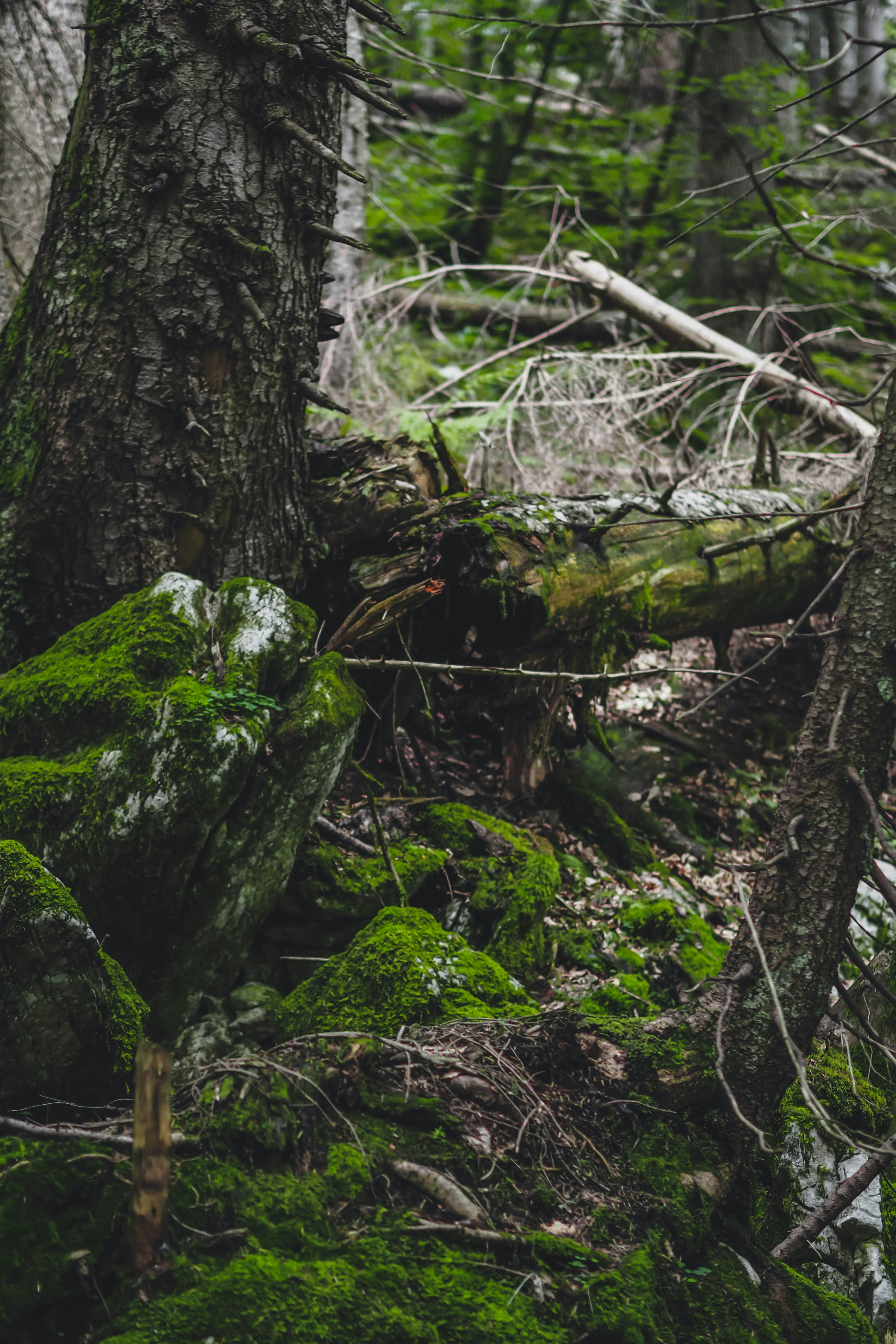 Photo by laurachouette