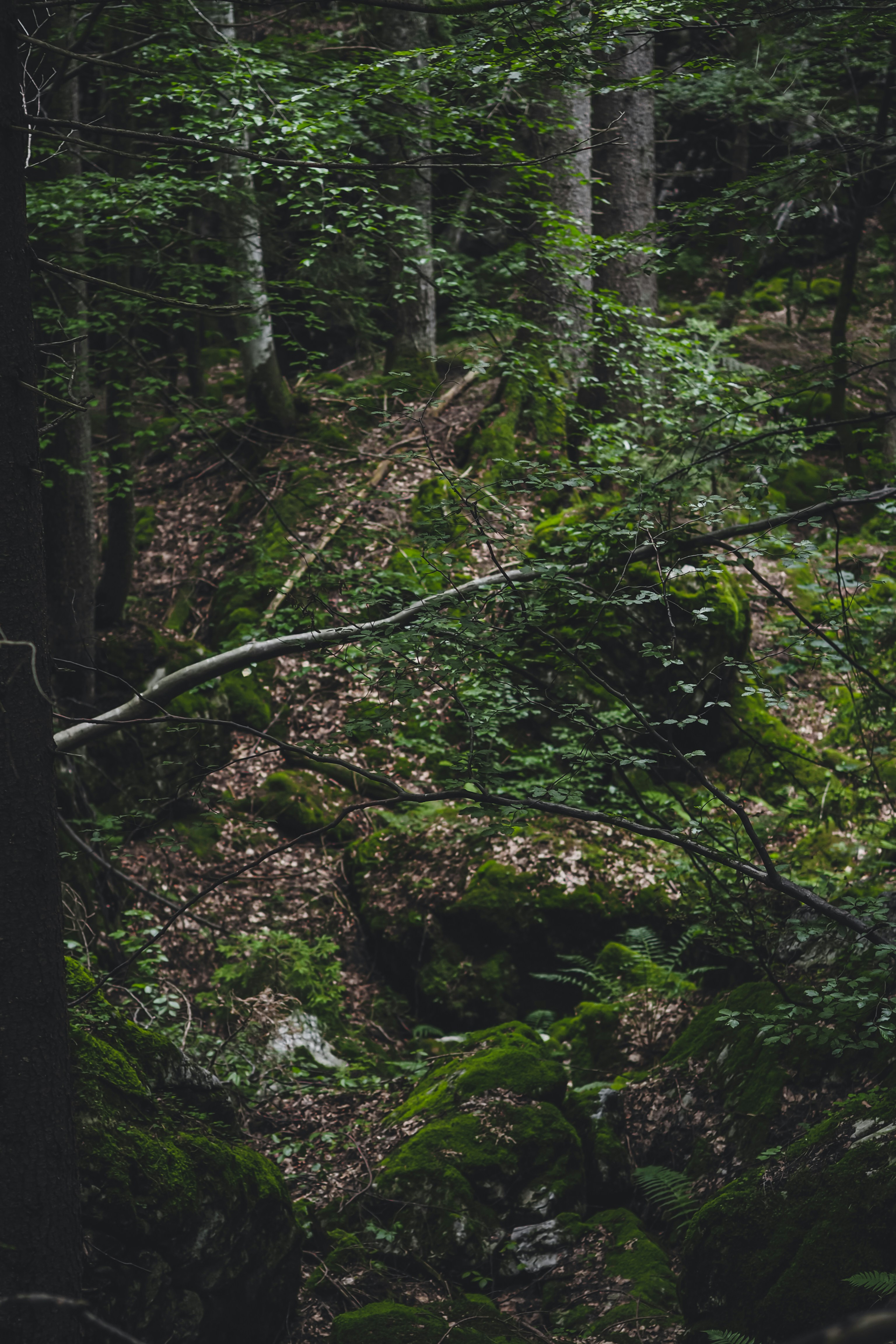 Photo by laurachouette