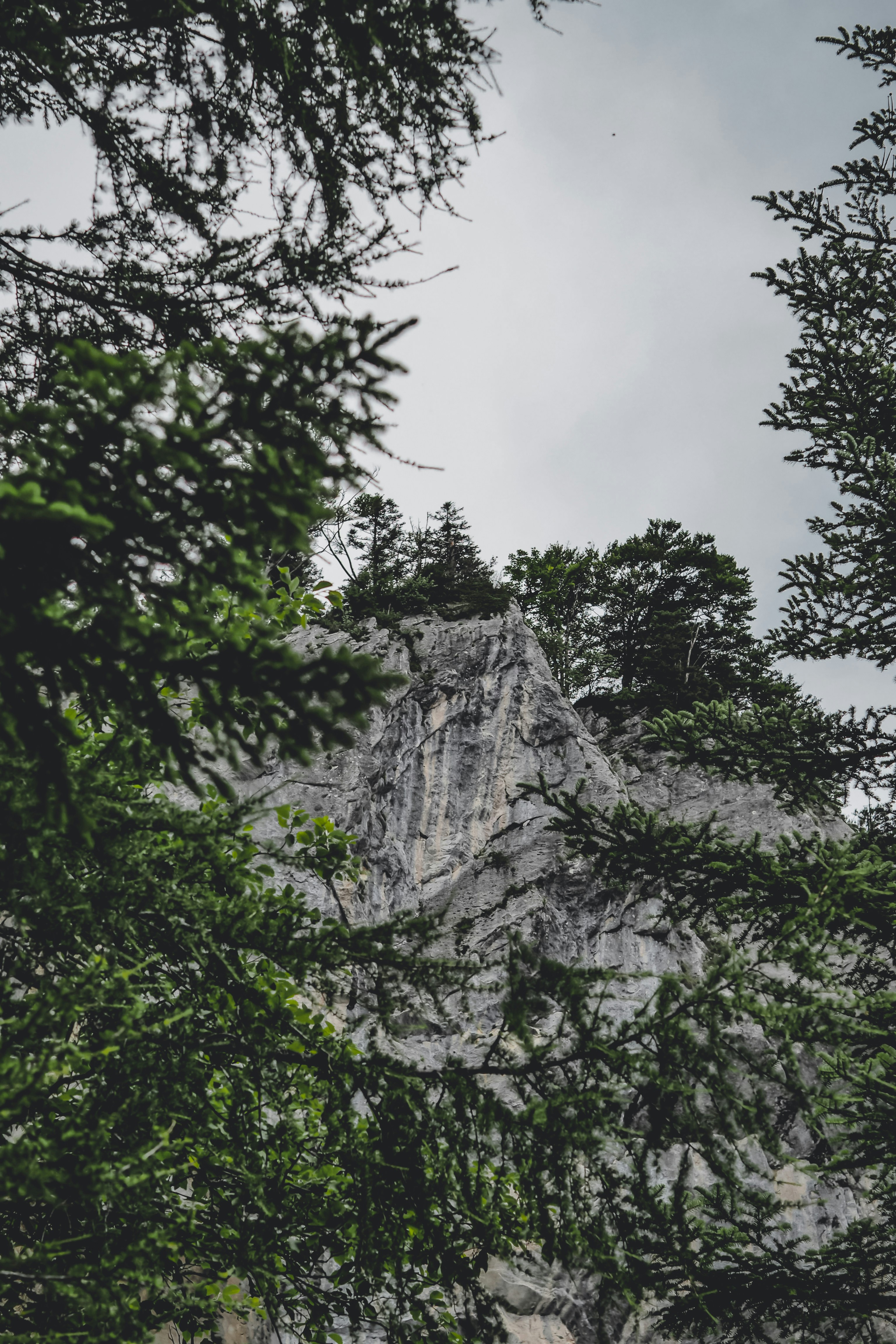 Photo by laurachouette