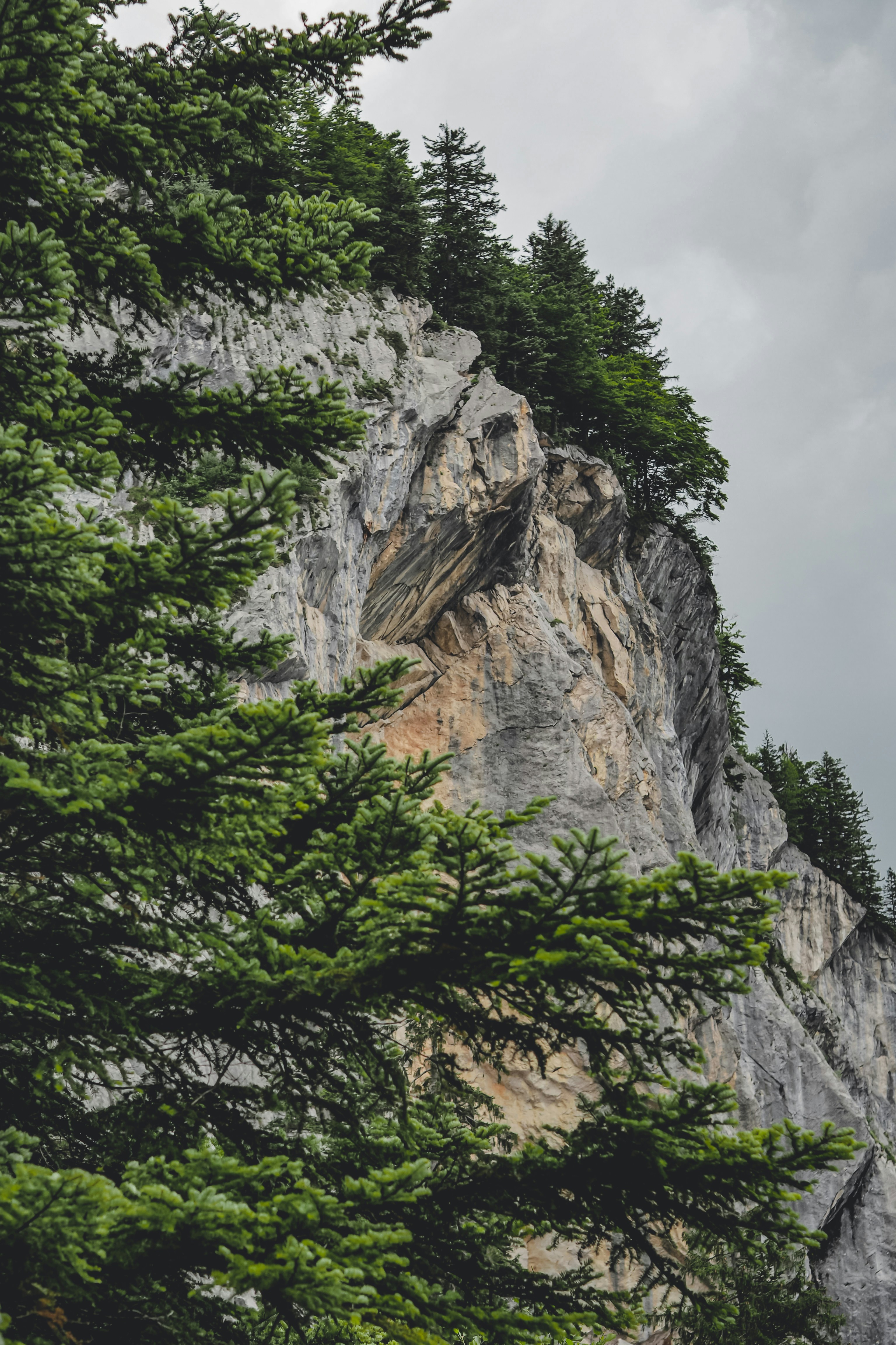 Photo by laurachouette