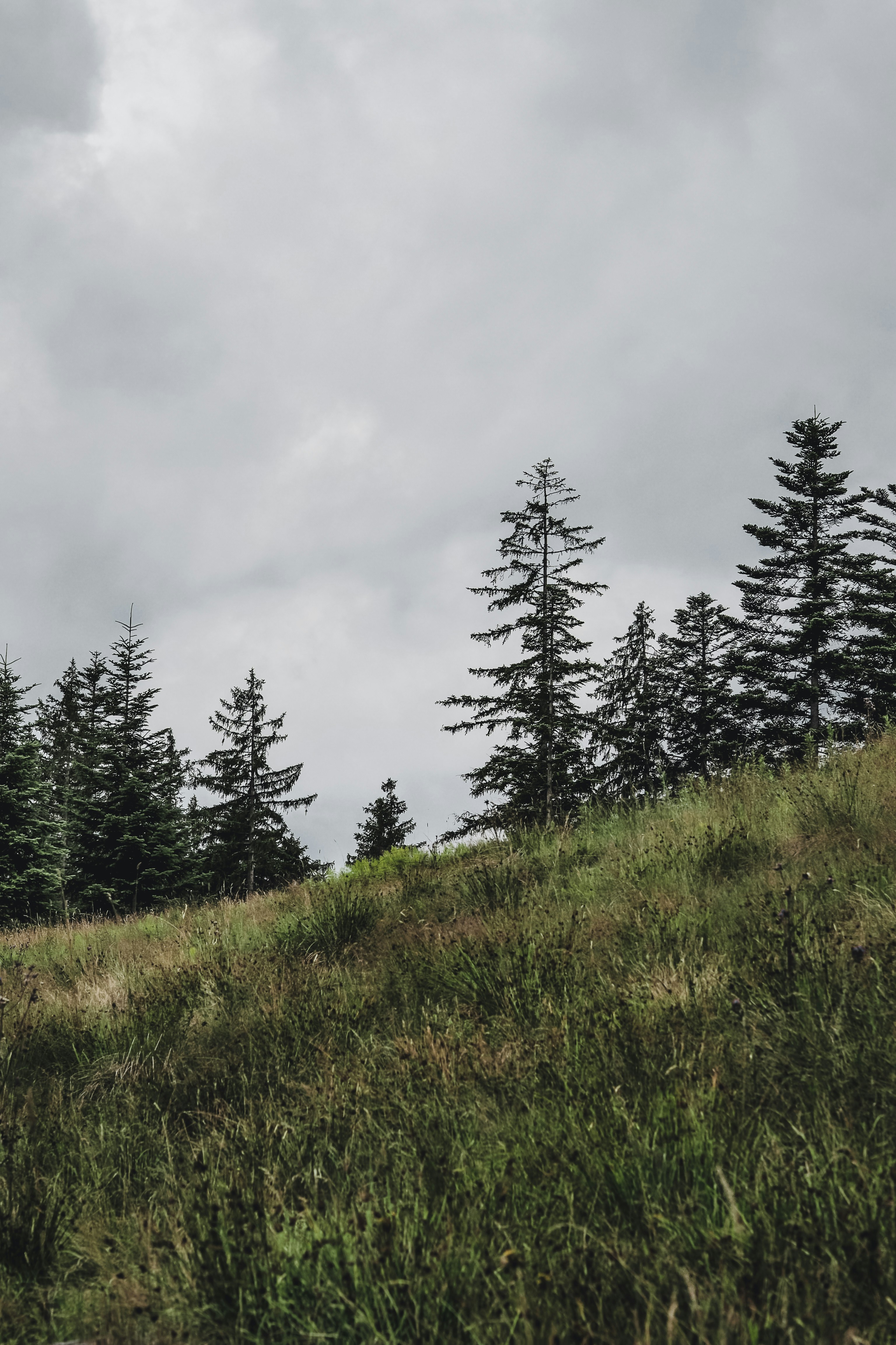 Photo by laurachouette