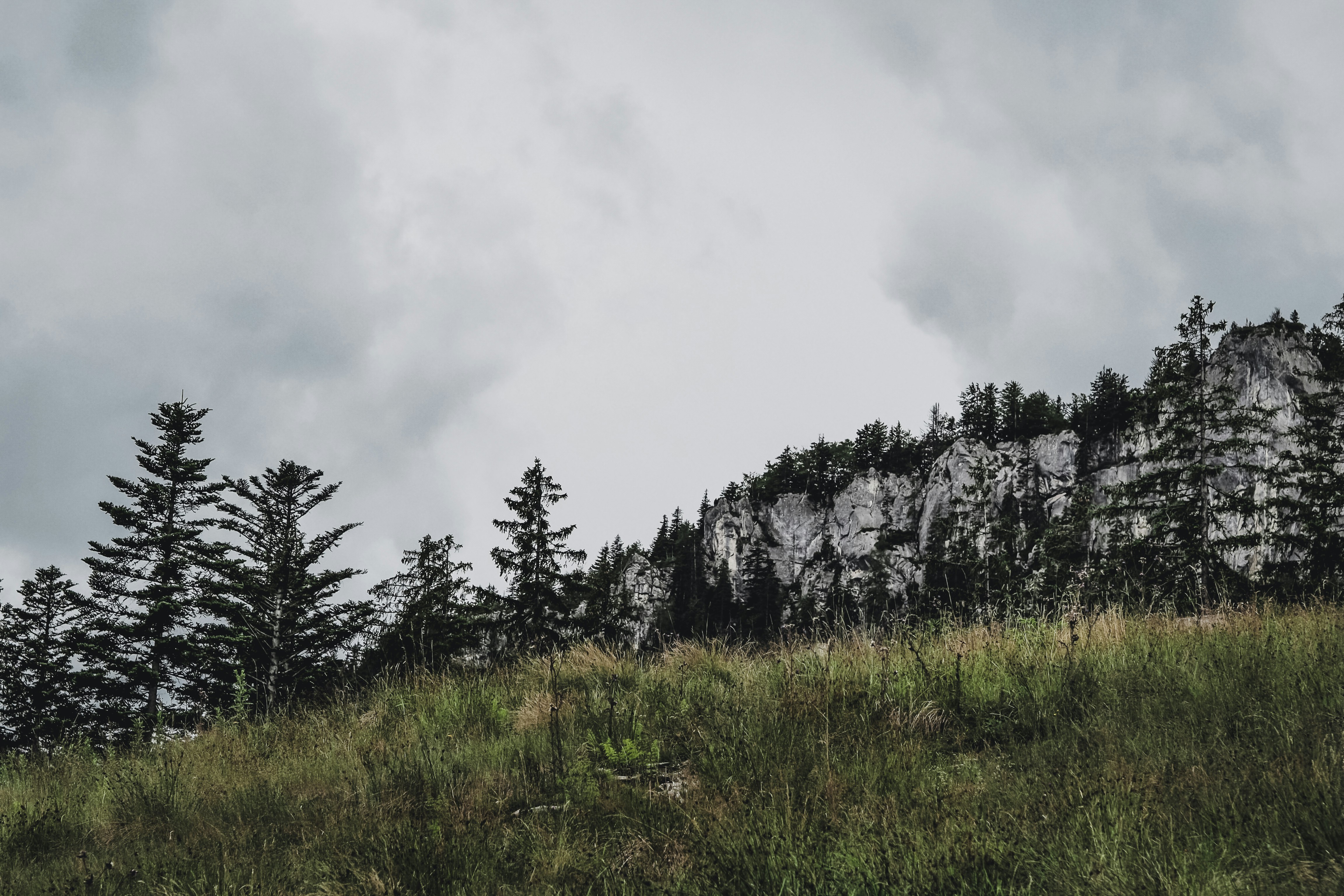 Photo by laurachouette