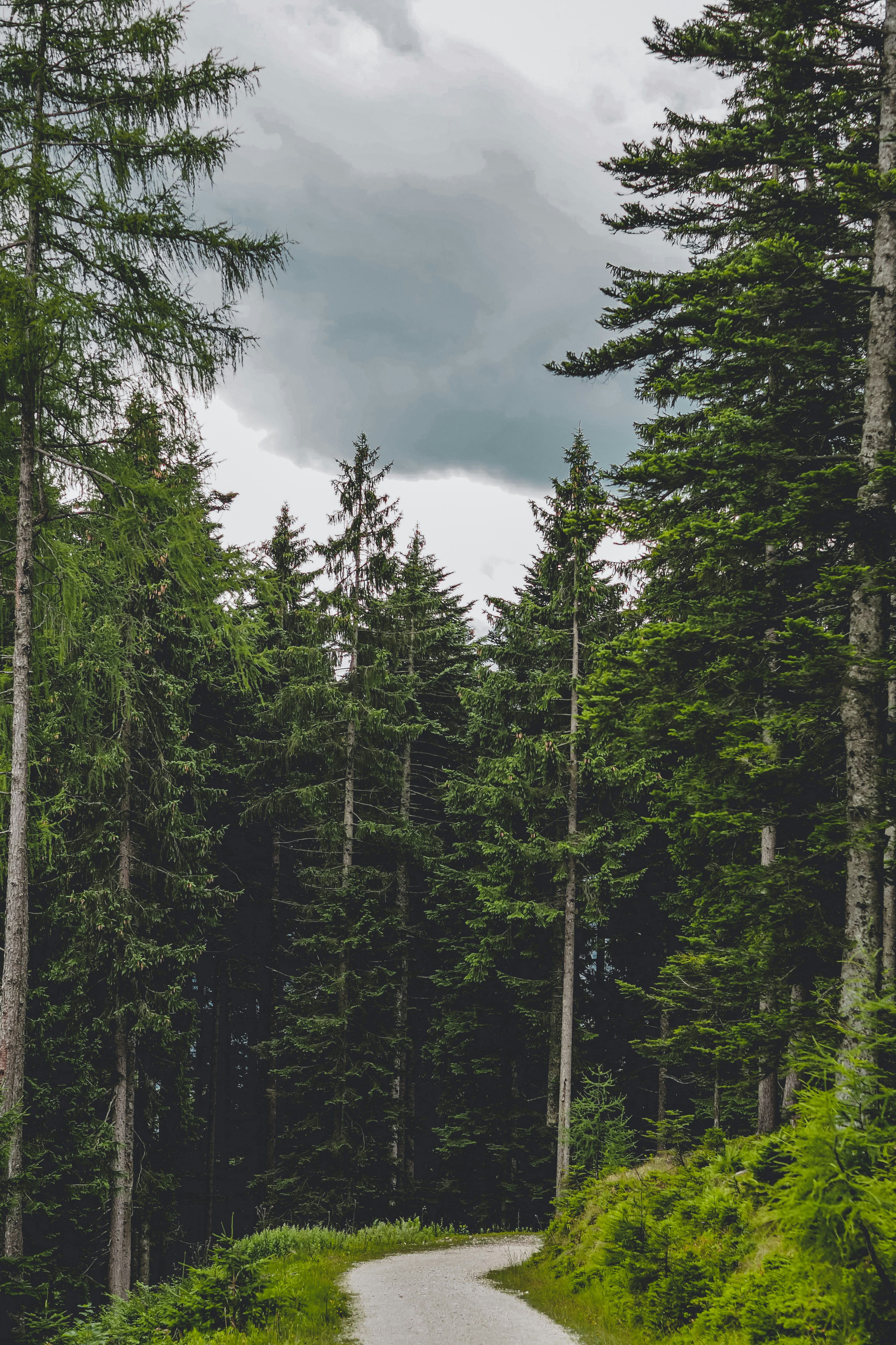 Photo by laurachouette