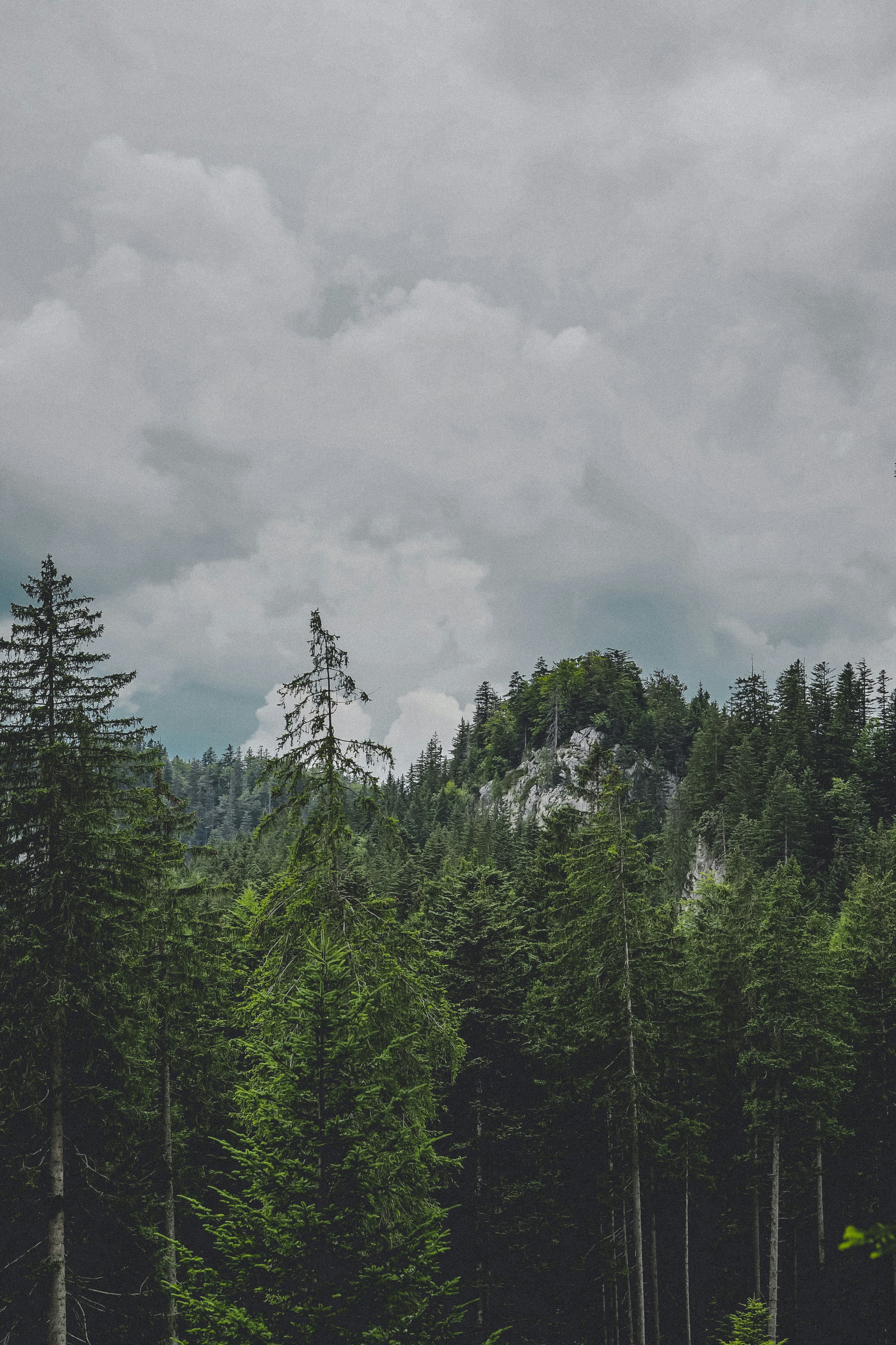 Photo by laurachouette