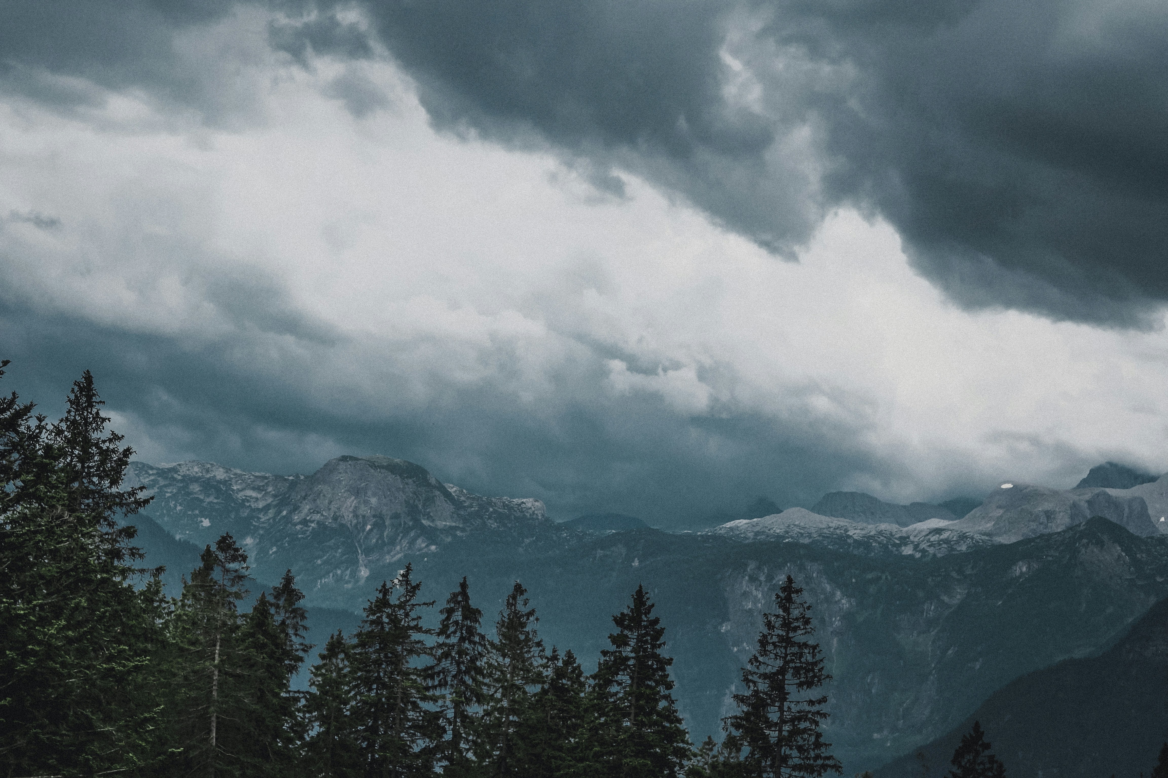 Photo by laurachouette