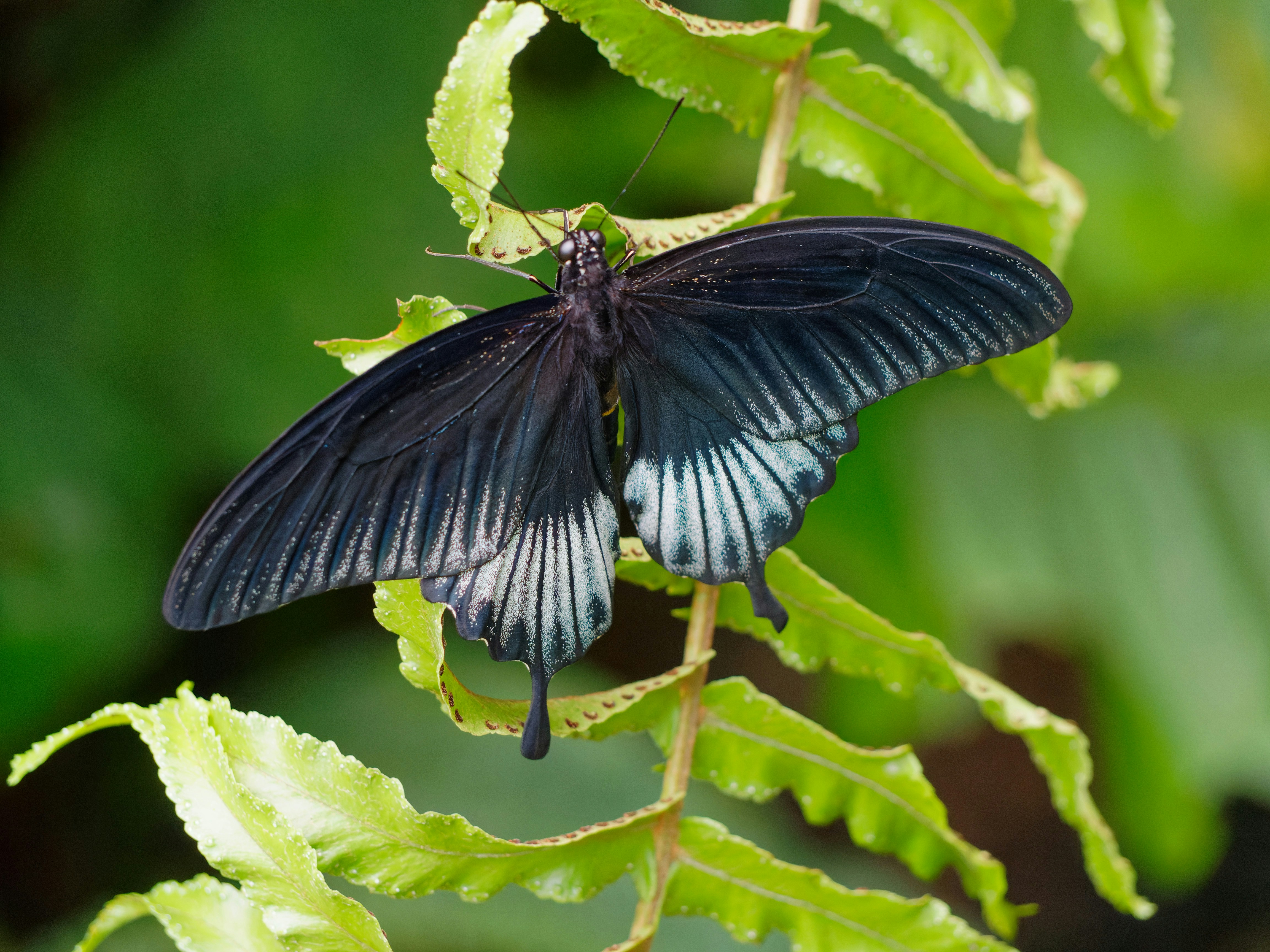 Photo by galerieseven