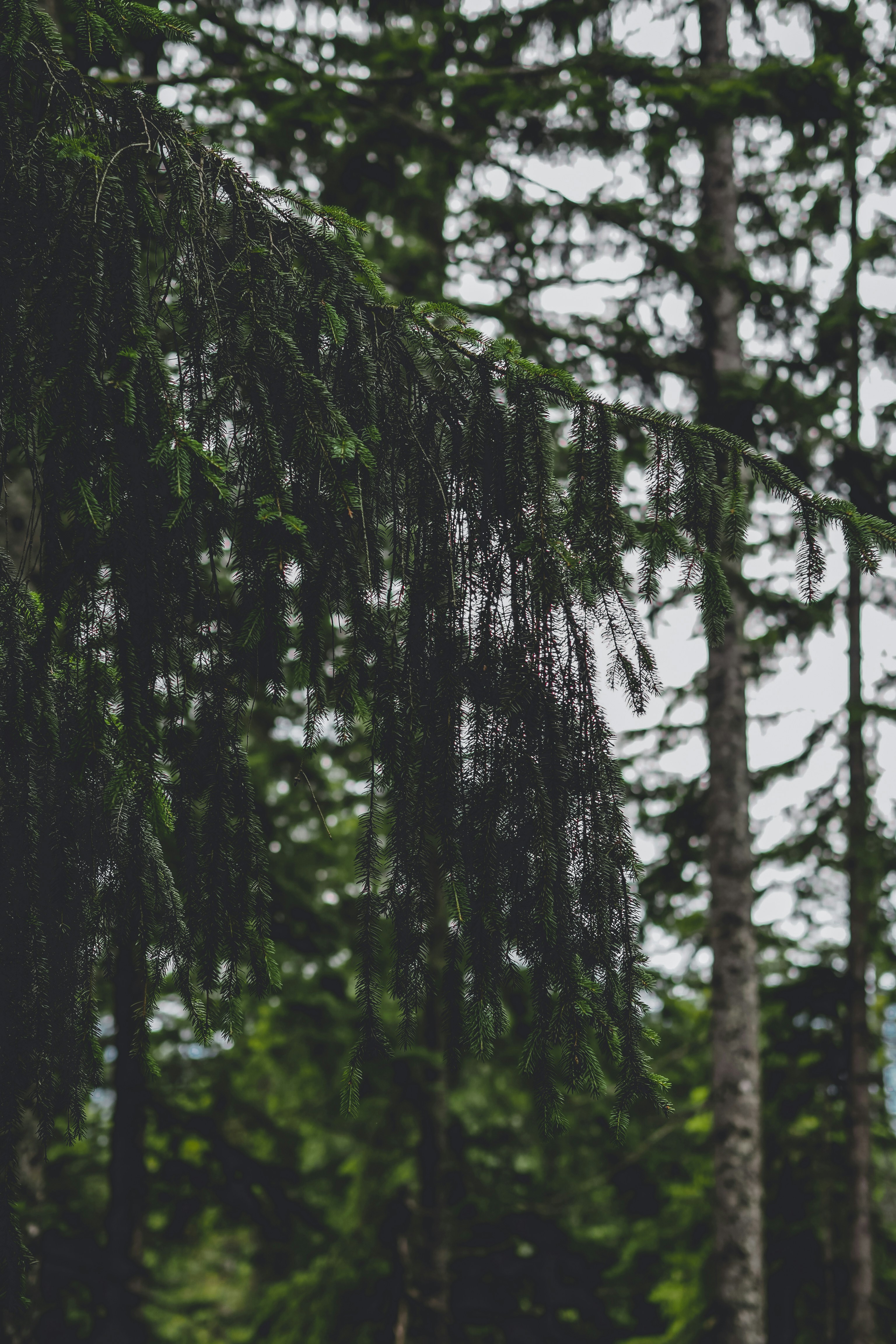 Photo by laurachouette