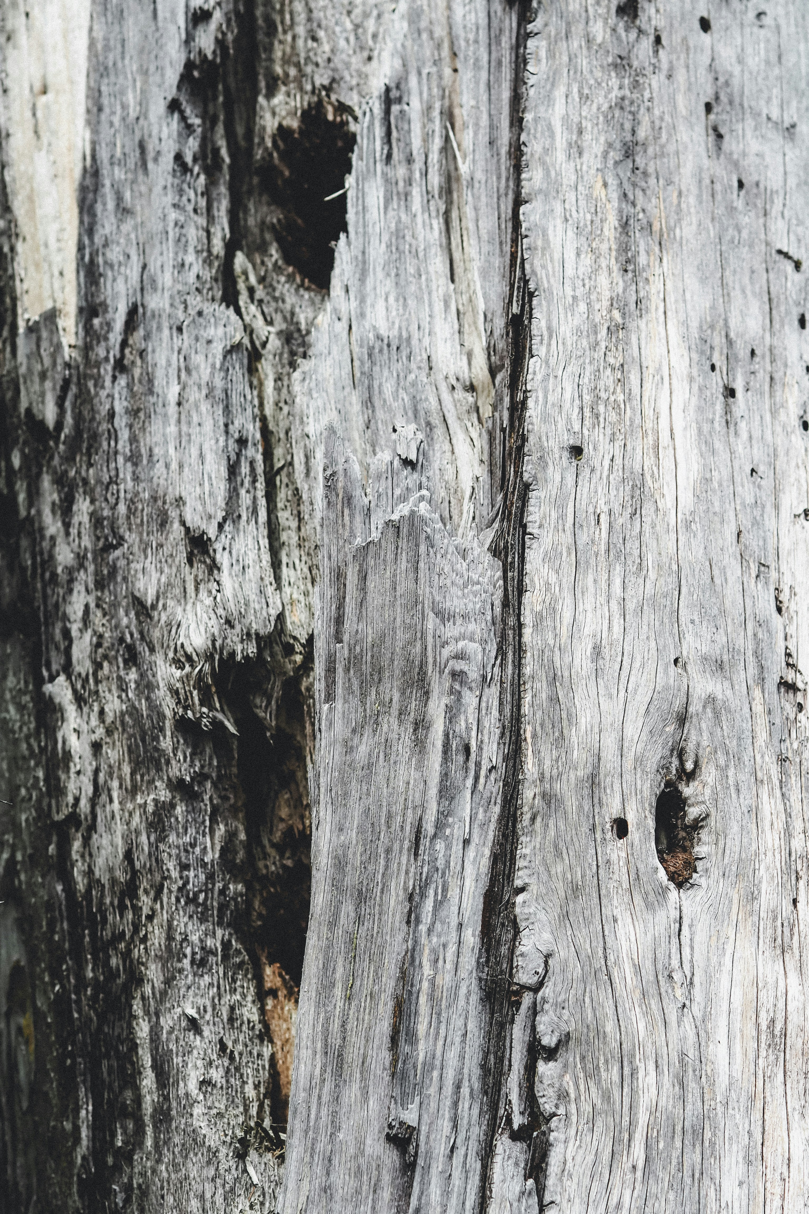 Photo by laurachouette