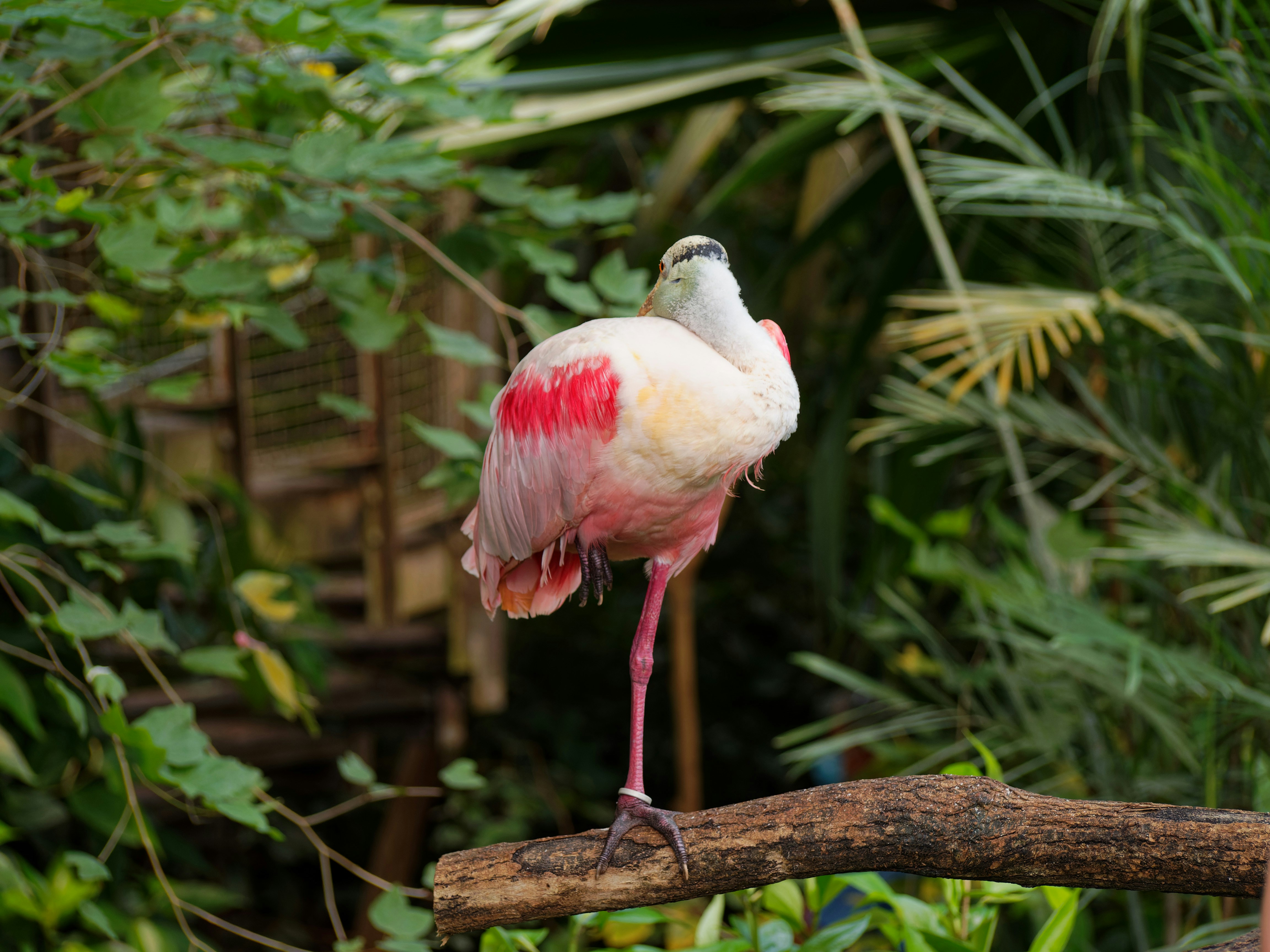 Photo by galerieseven