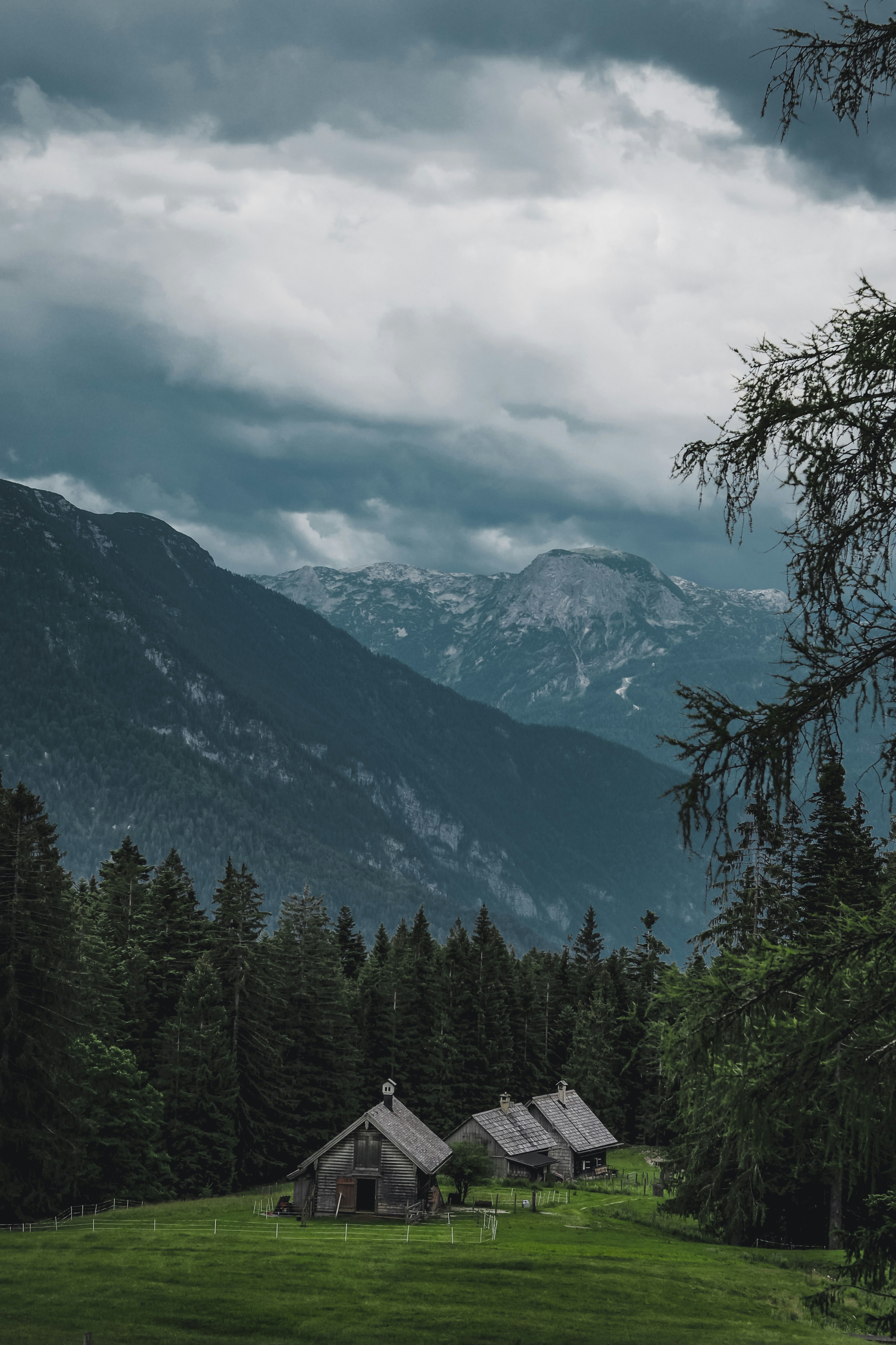 Photo by laurachouette