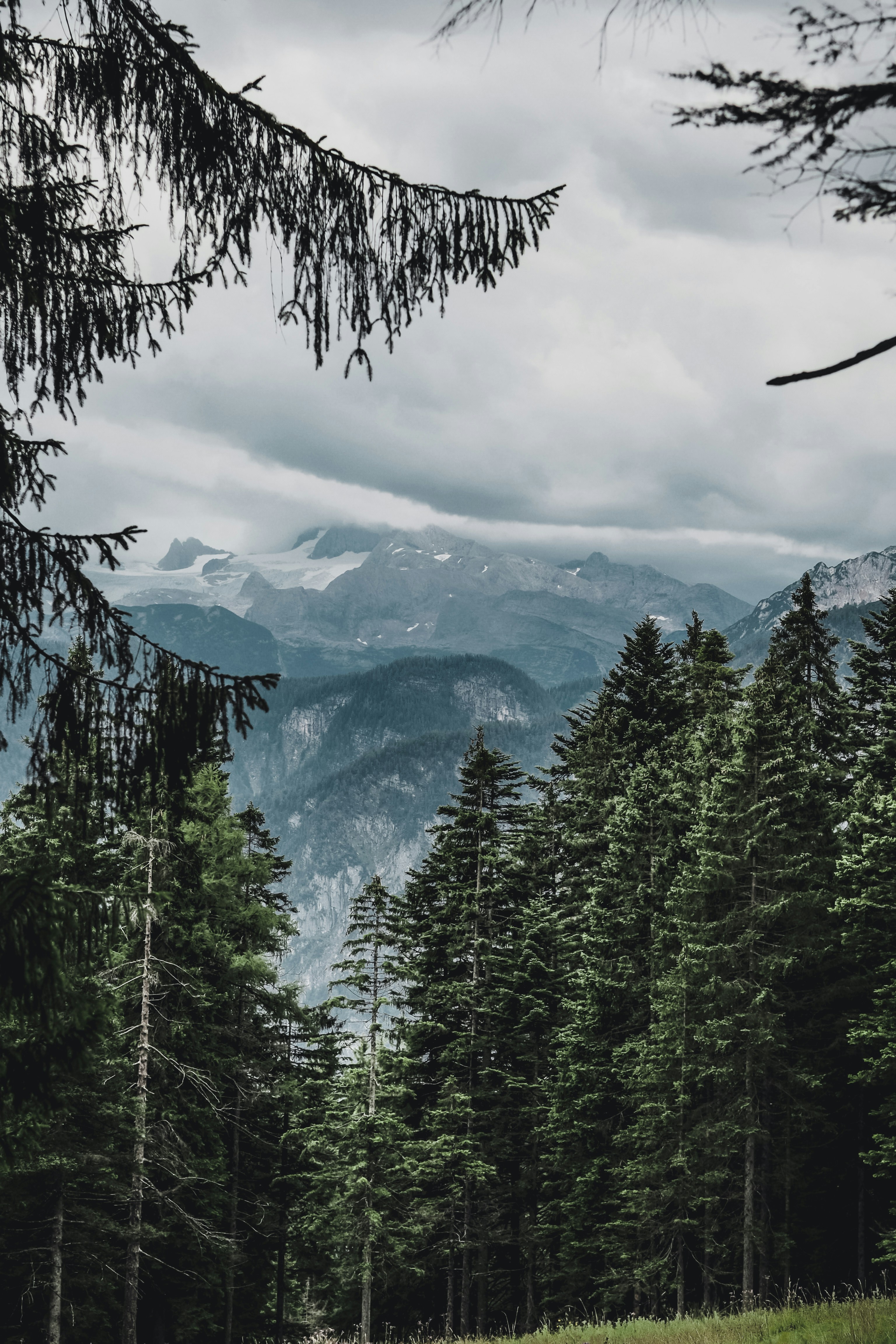 Photo by laurachouette