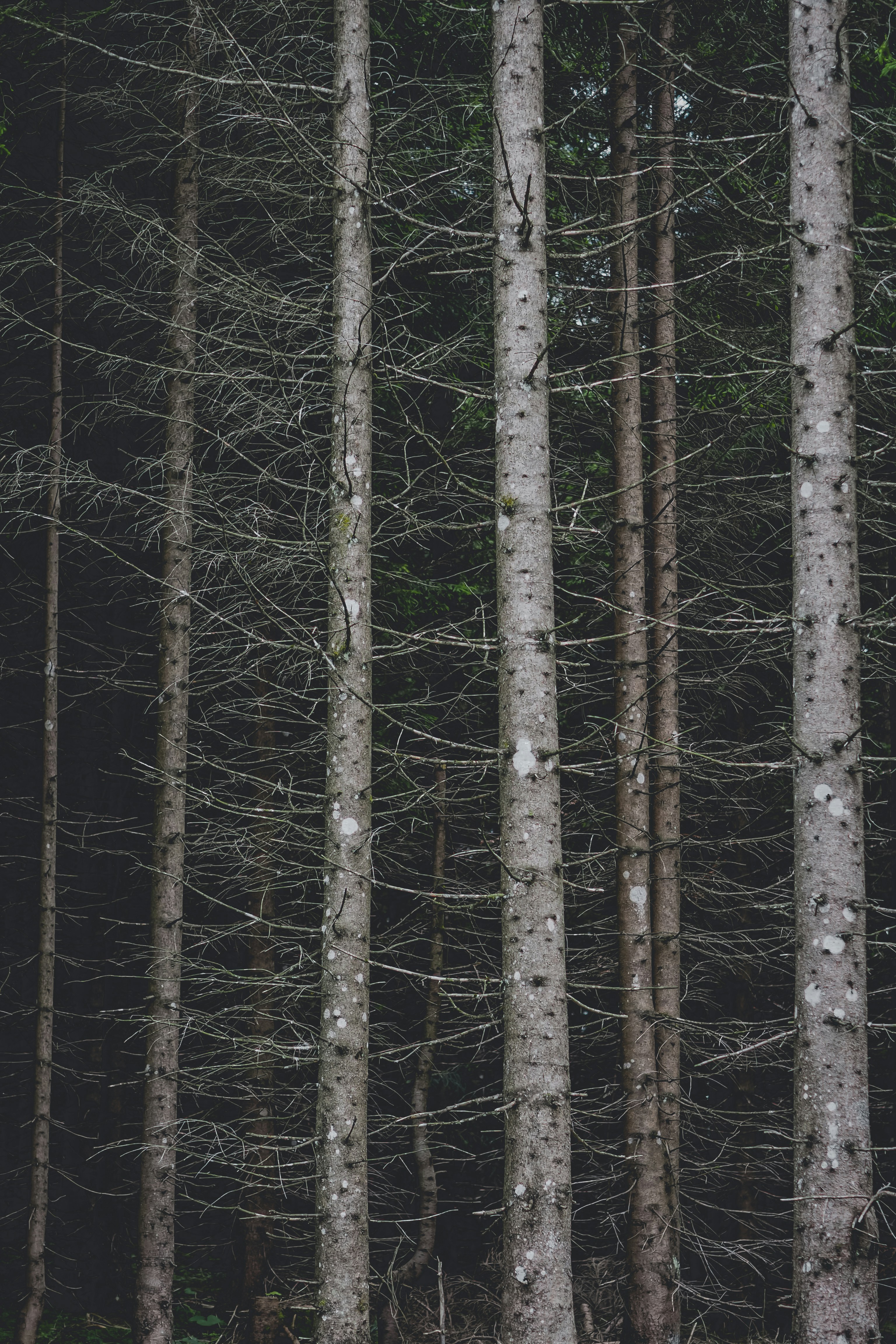 Photo by laurachouette