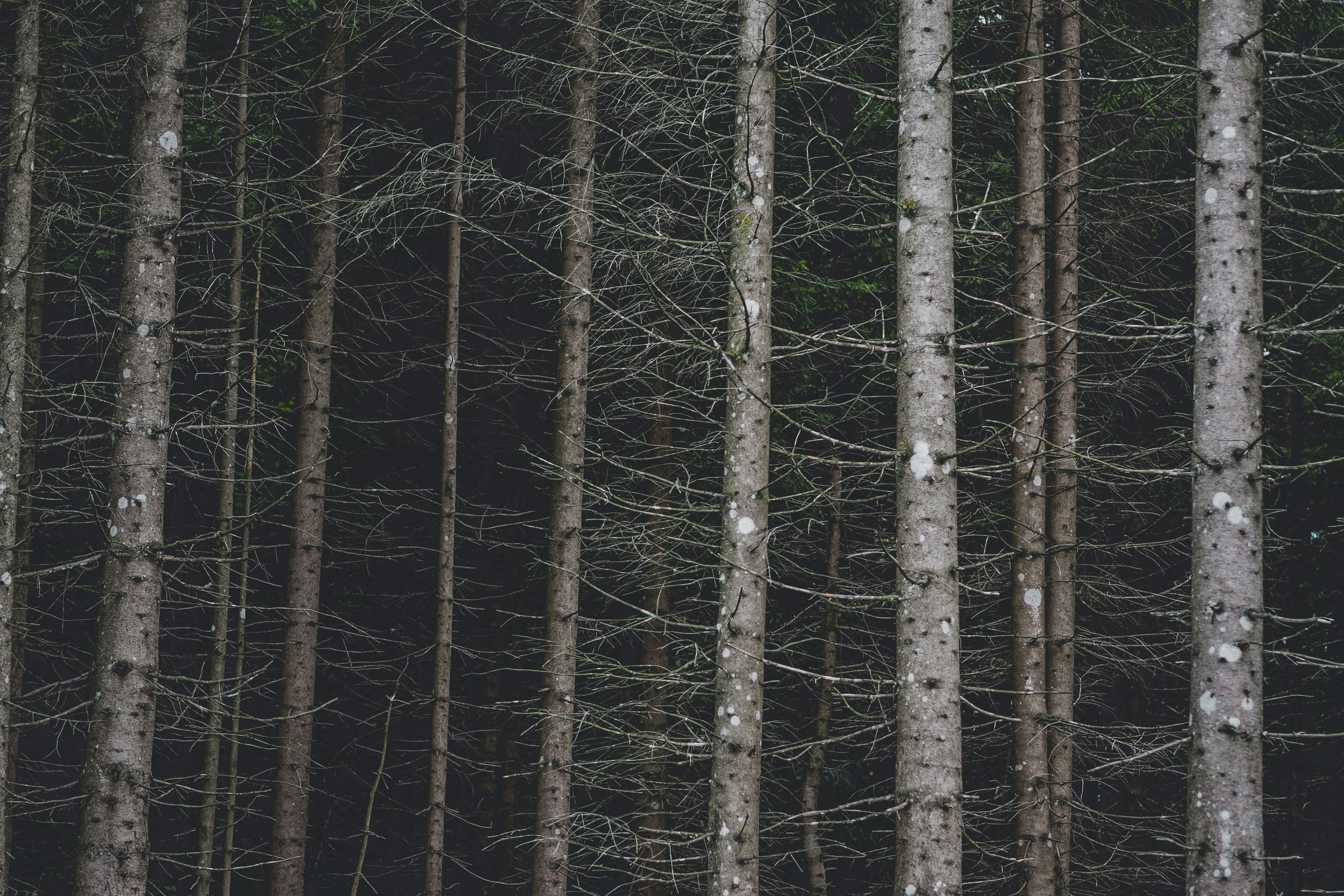 Photo by laurachouette