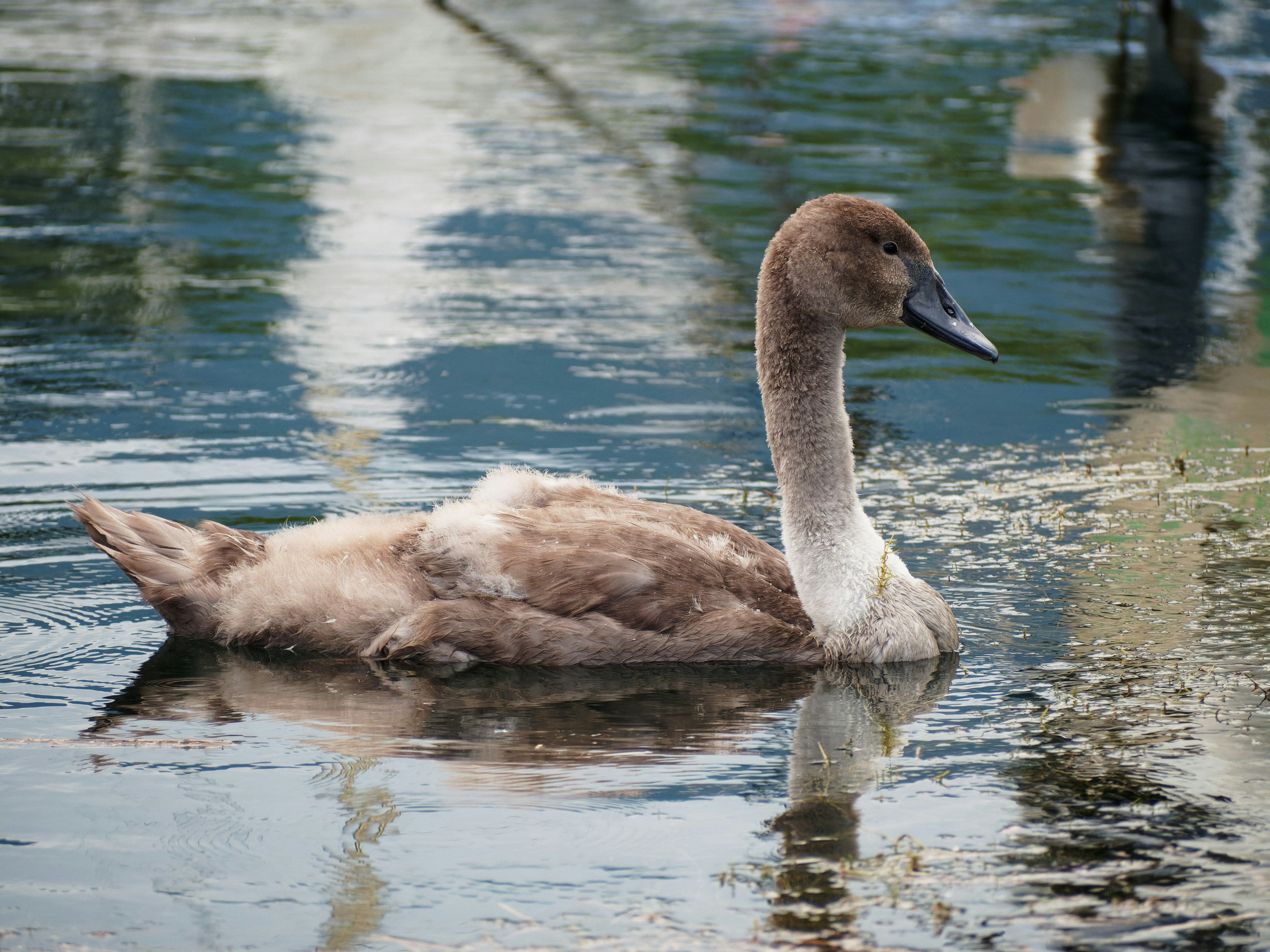 Photo by galerieseven