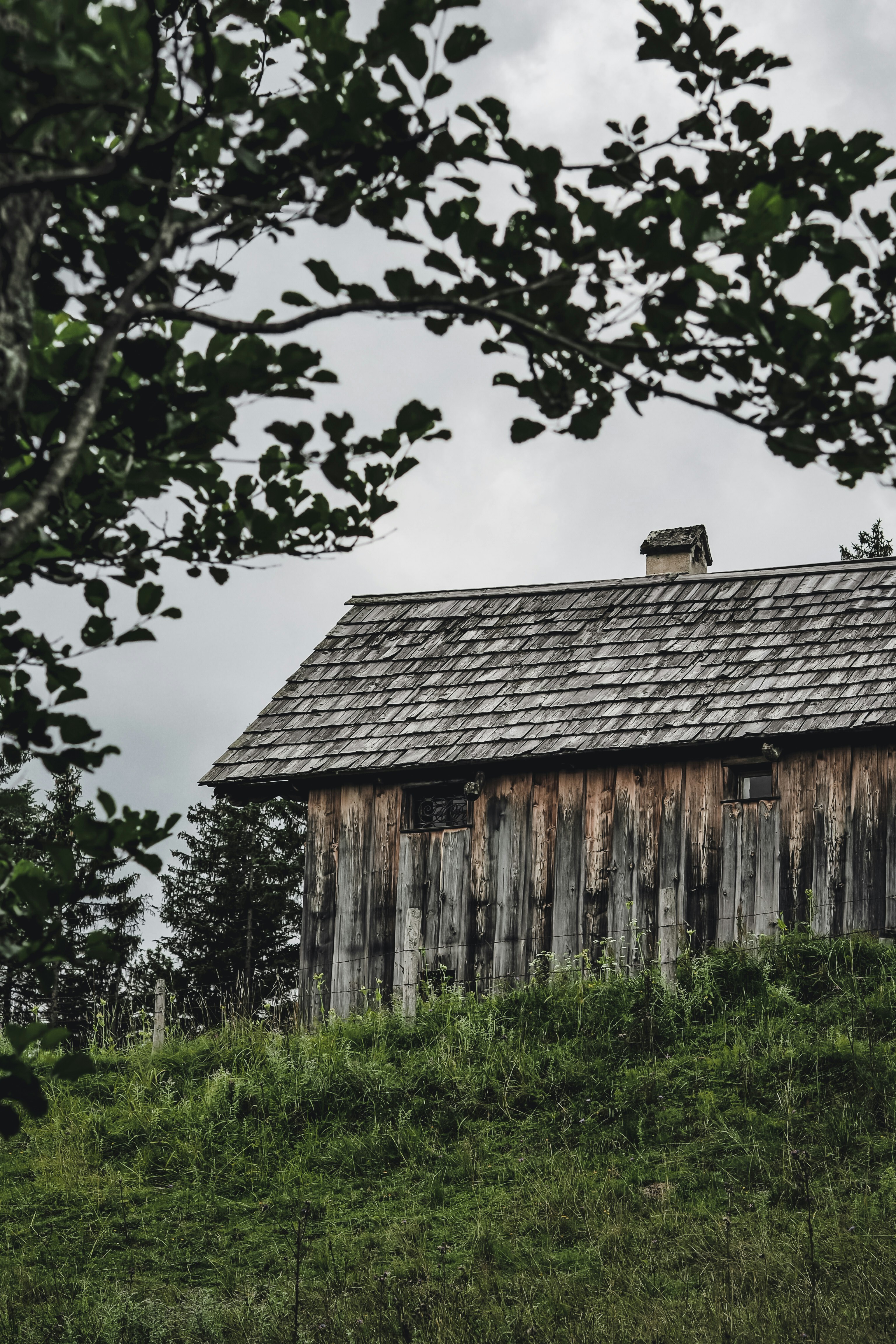 Photo by laurachouette