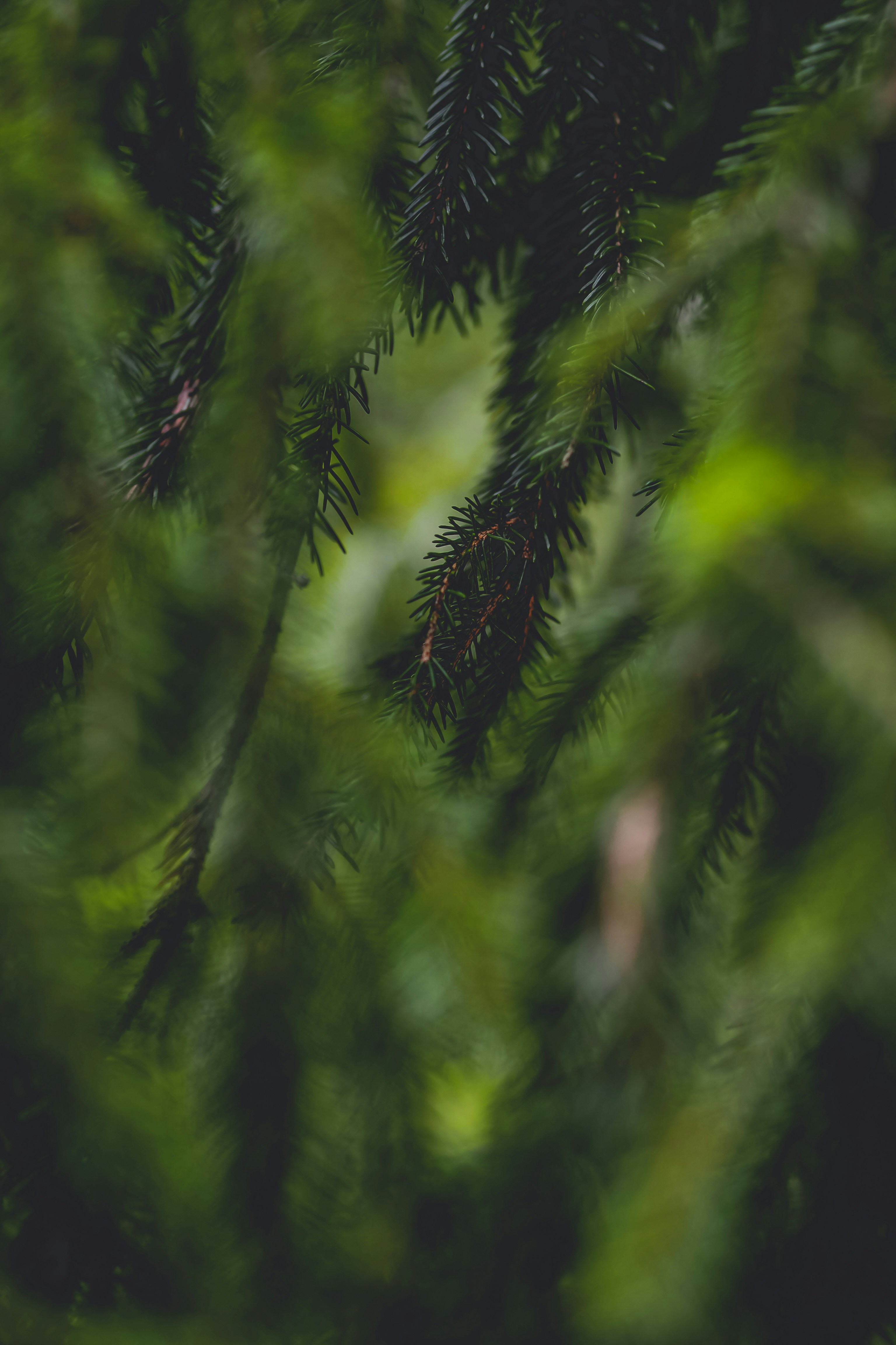 Photo by laurachouette