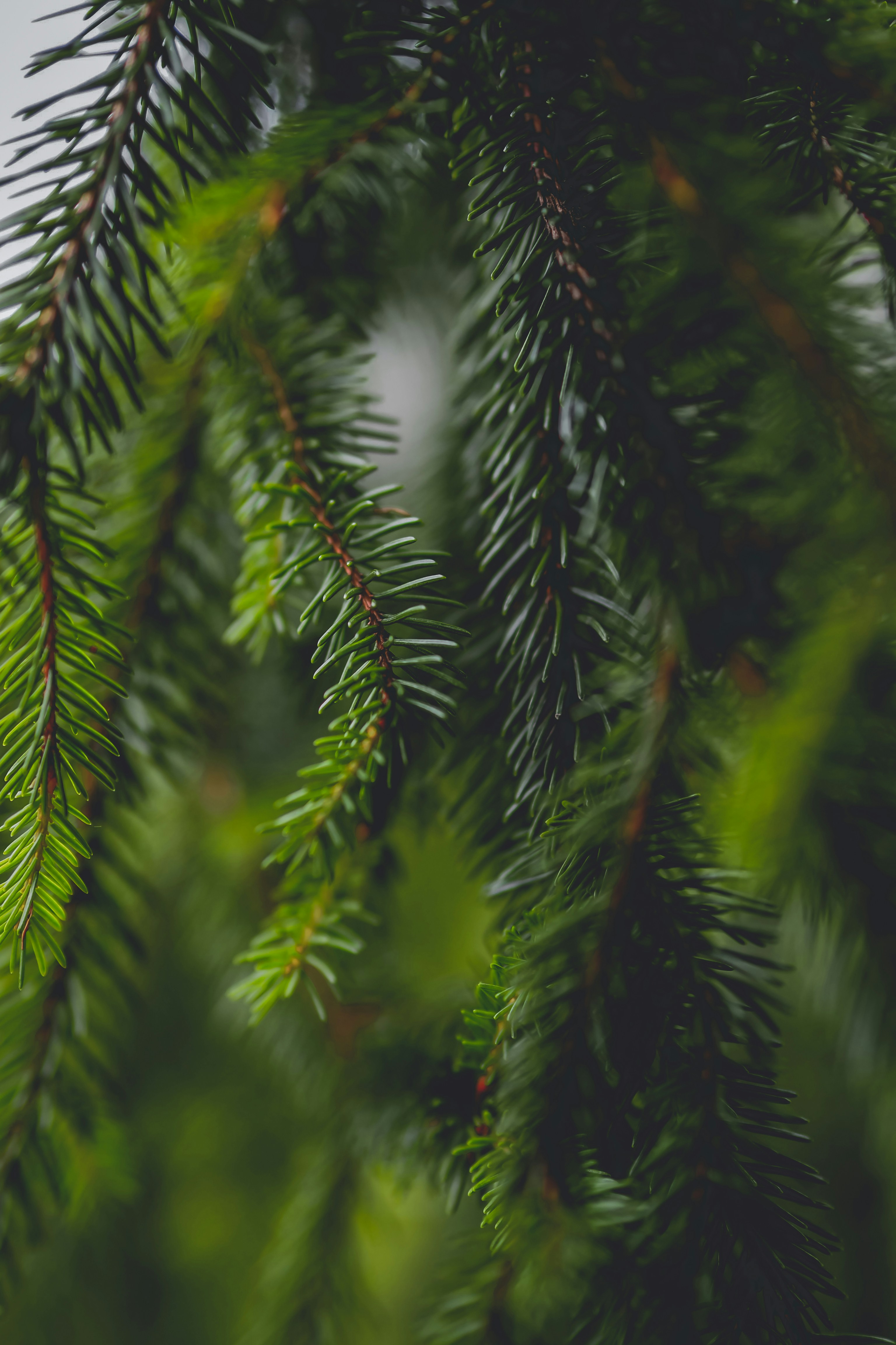 Photo by laurachouette