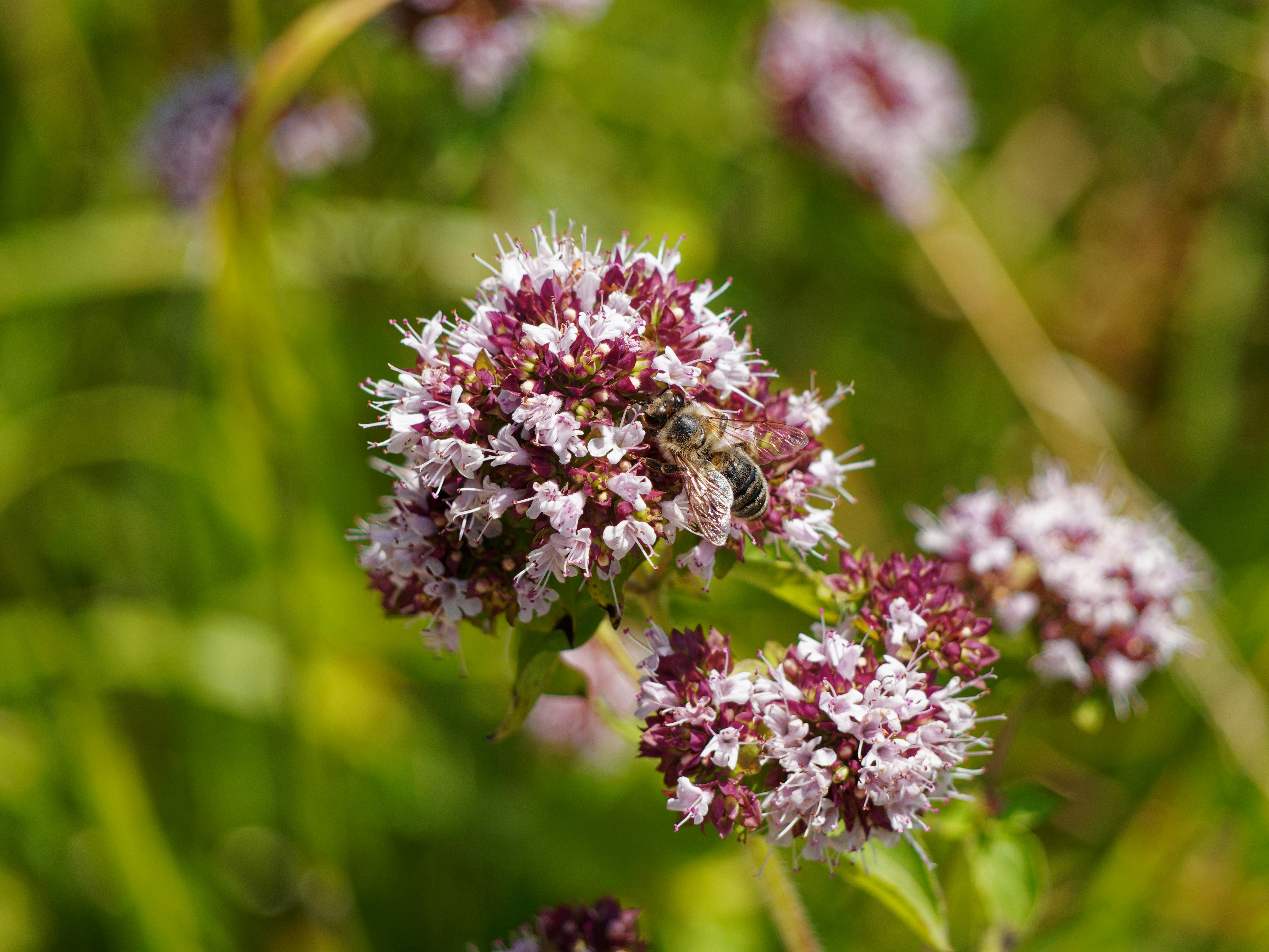 Photo by galerieseven