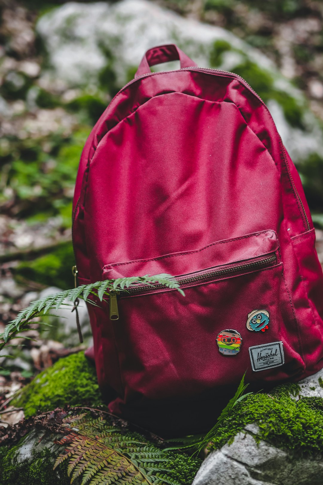red backpack on green grass
