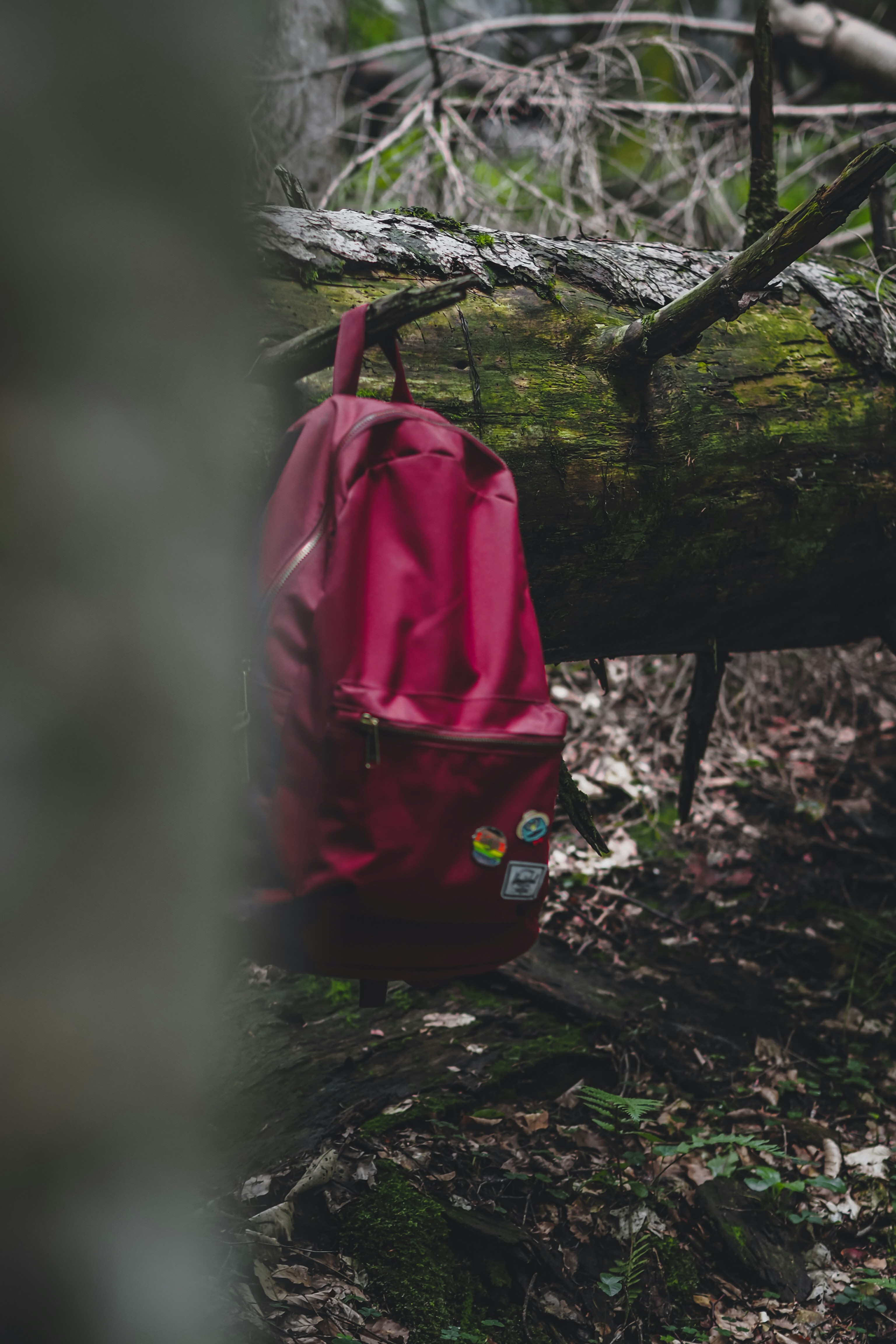 Photo by laurachouette