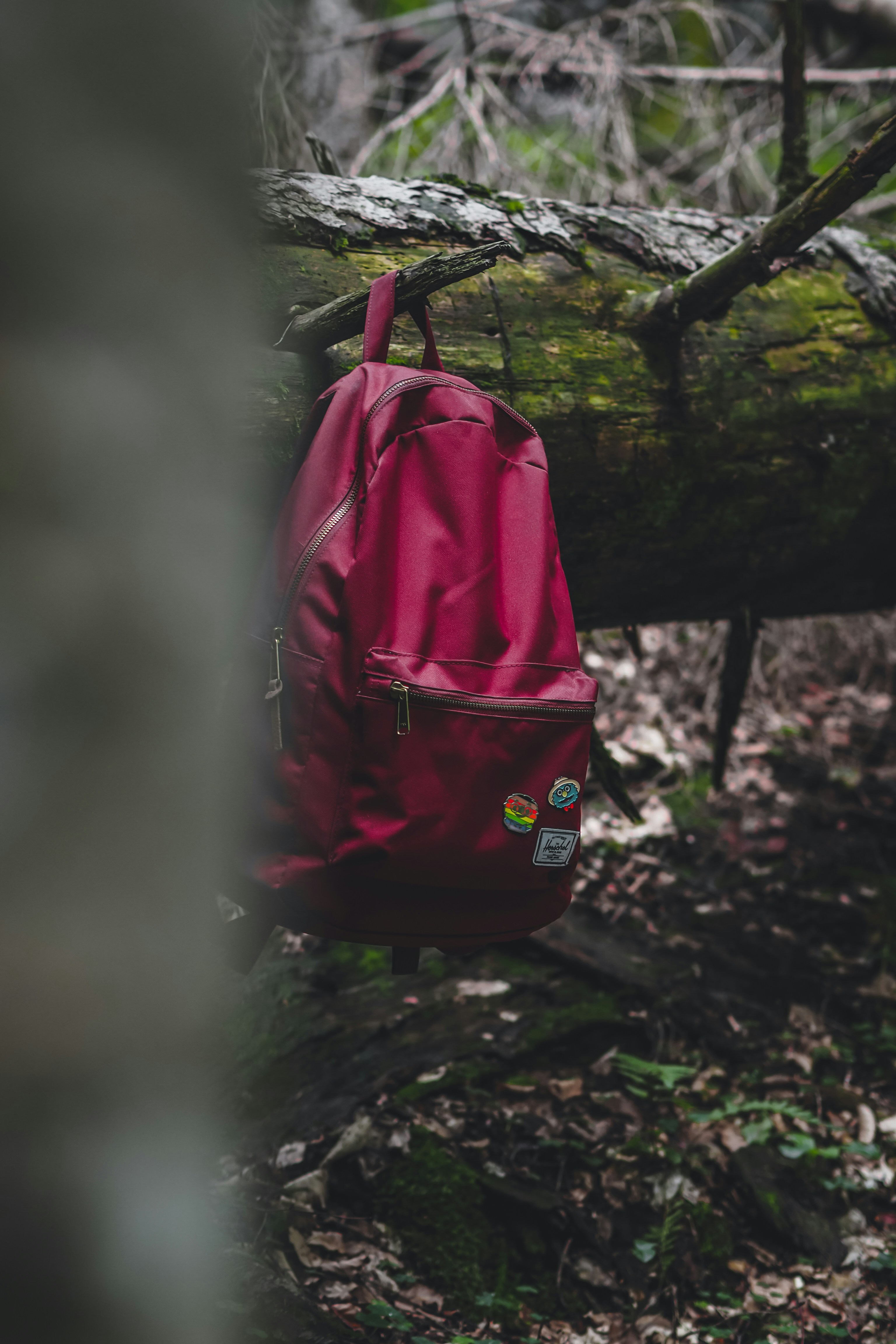 Photo by laurachouette