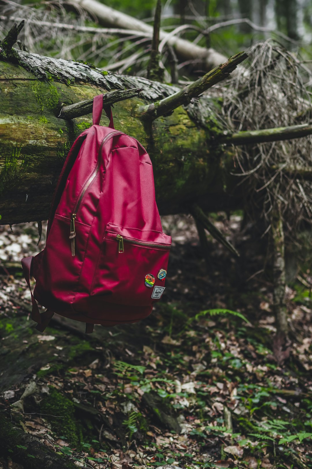 red backpack on tree trunk
