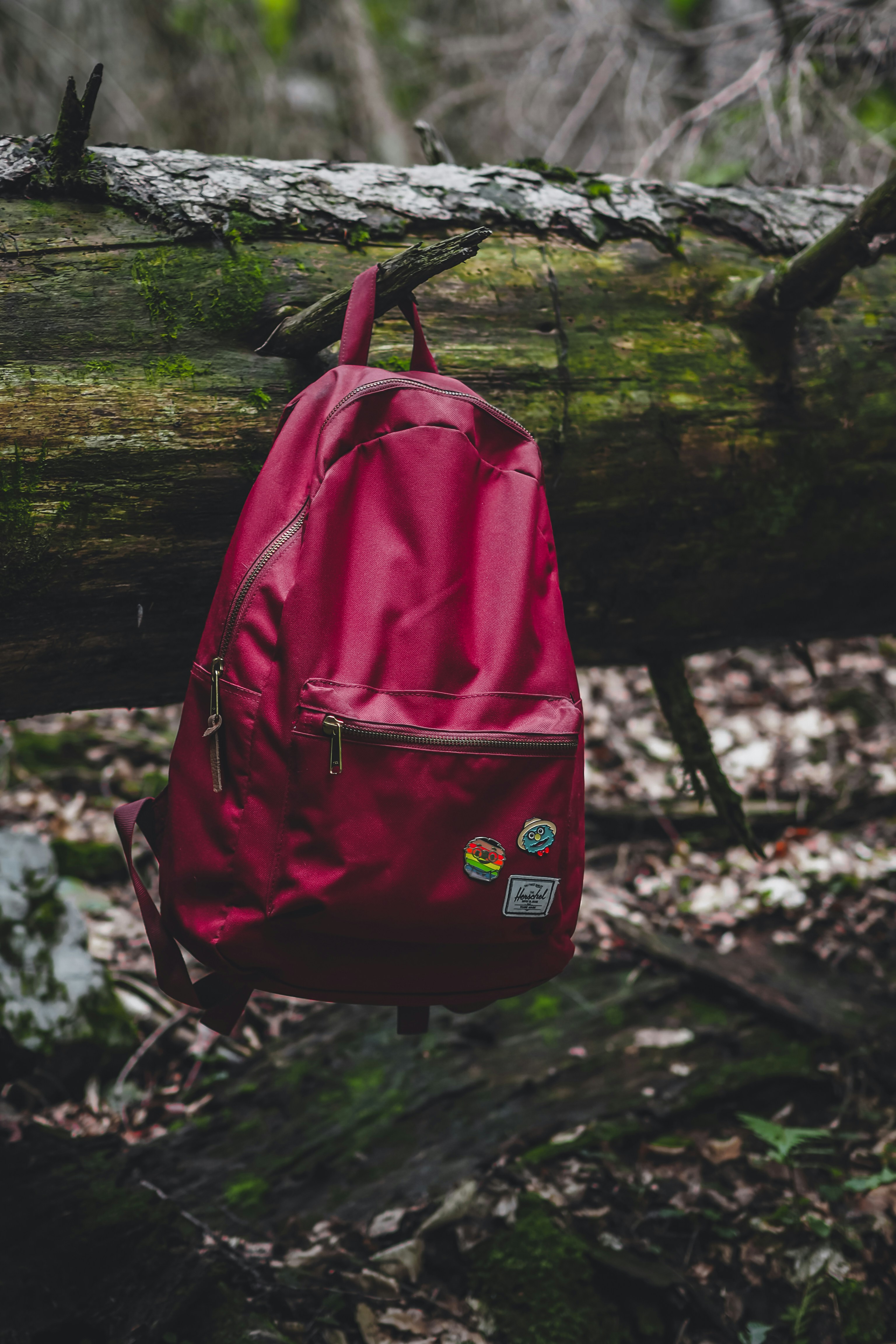 Photo by laurachouette