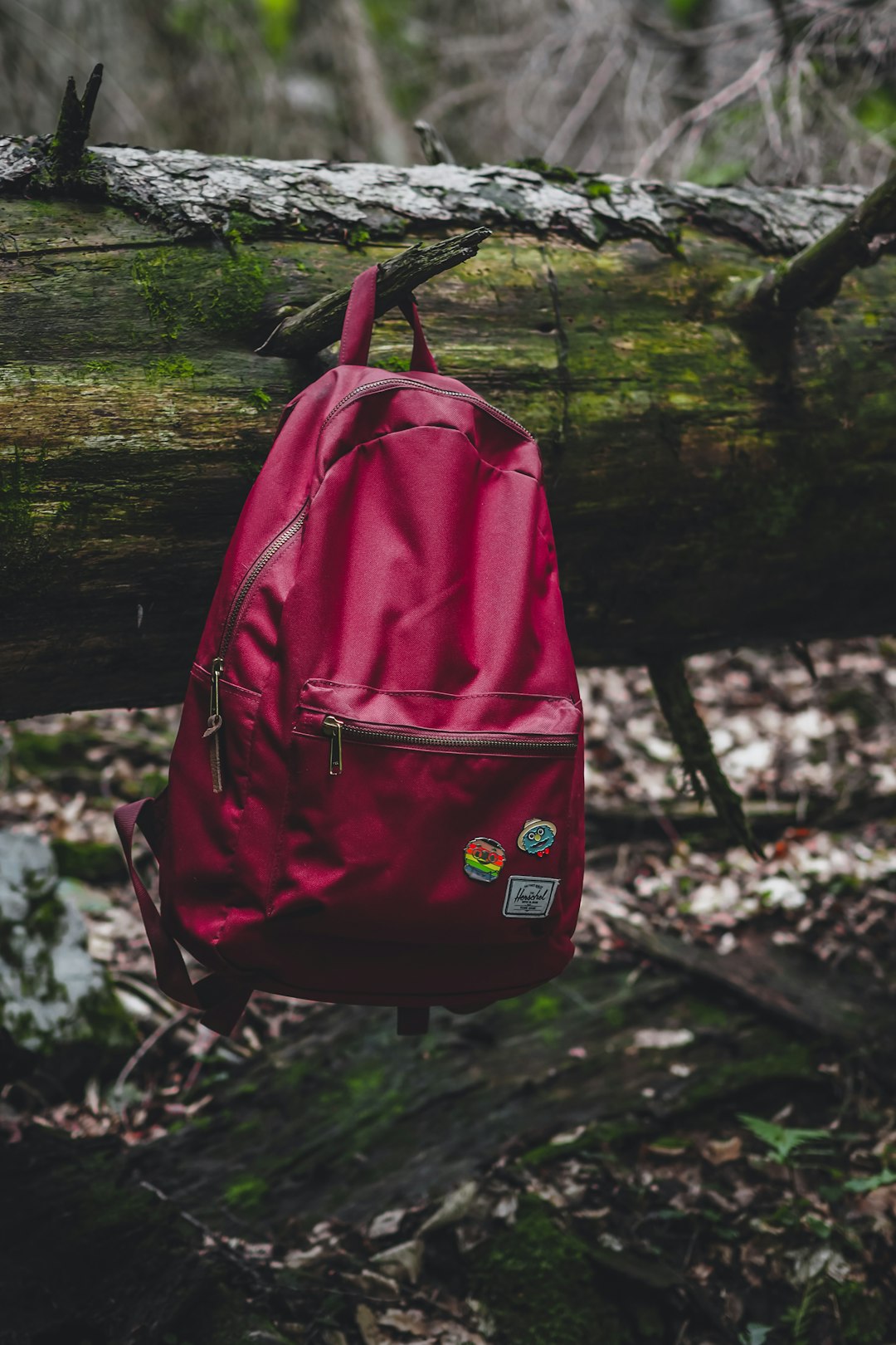 red backpack on tree trunk