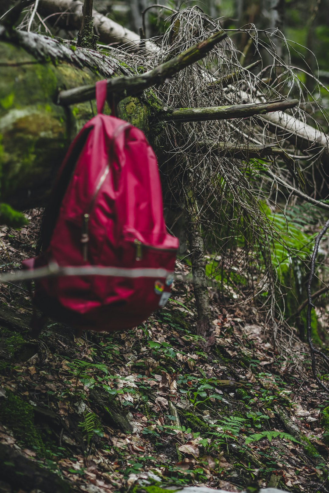 red and black backpack hanging on black metal bar