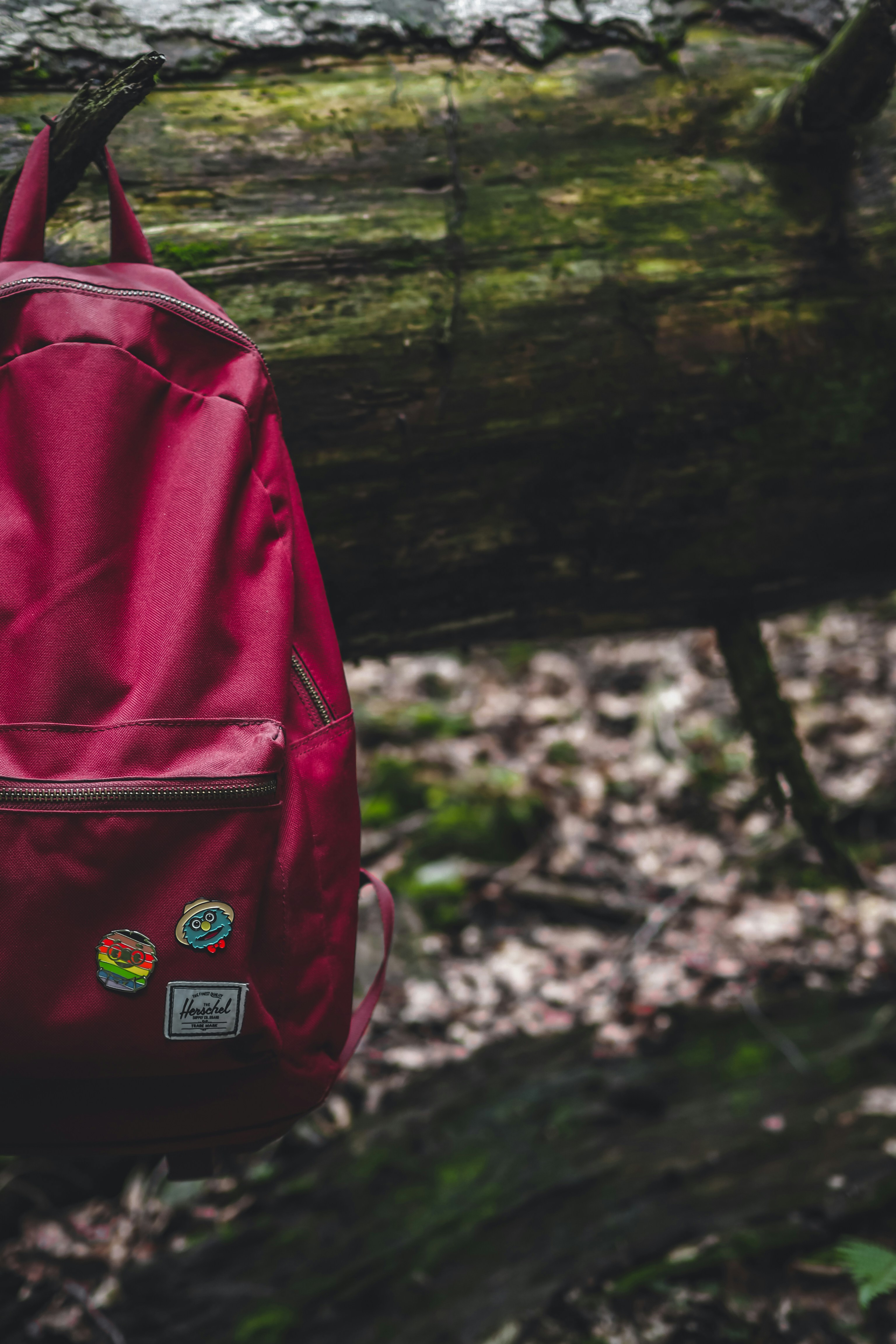 Photo by laurachouette