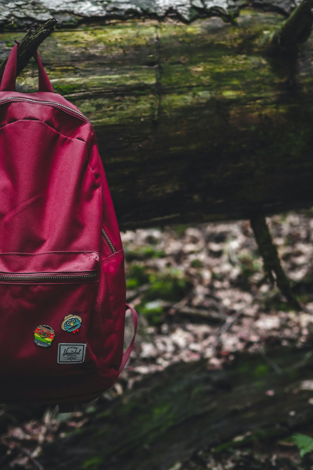 red backpack on tree trunk
