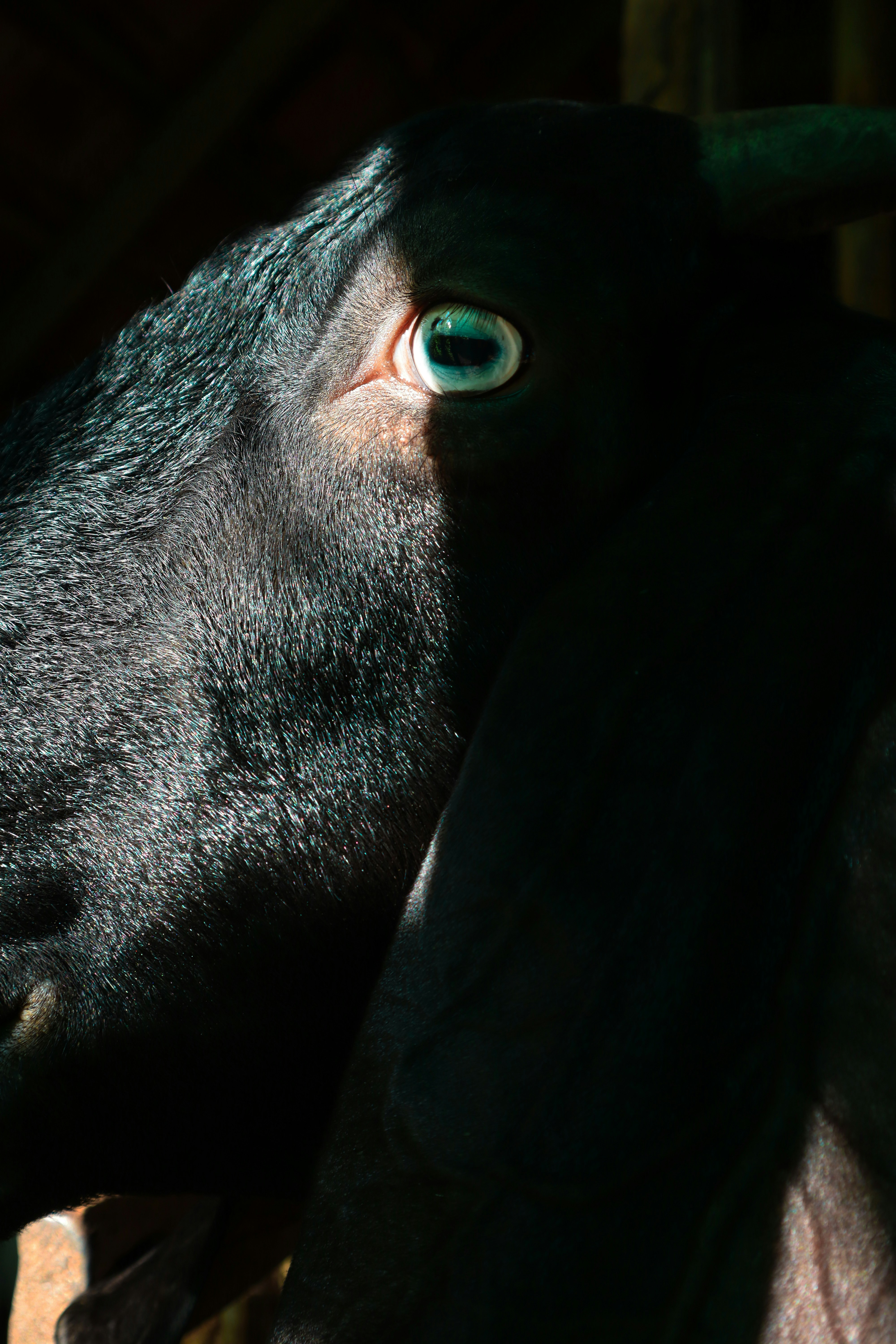 Photo by tonyzebastian