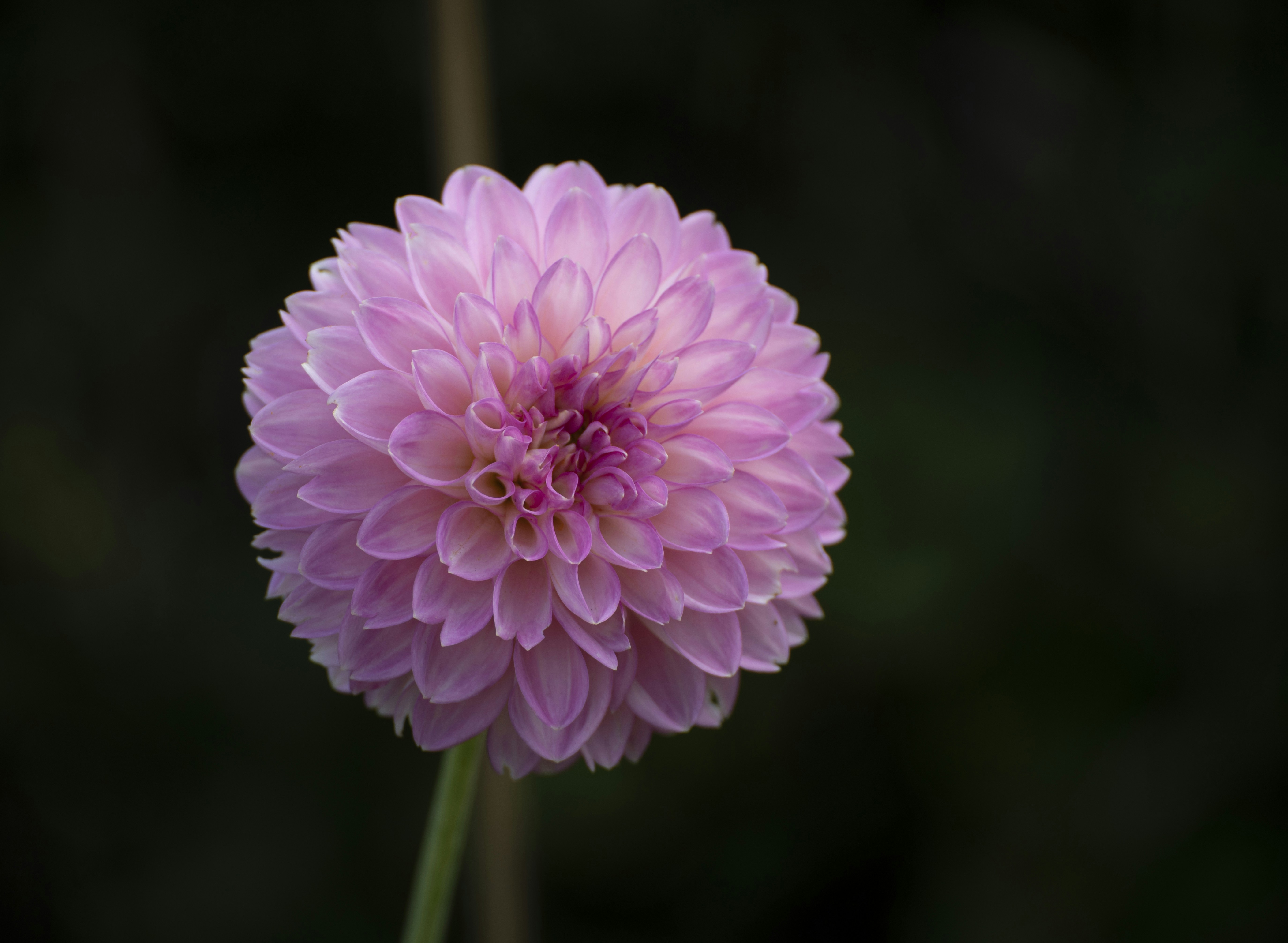 Photo by sommarvinden