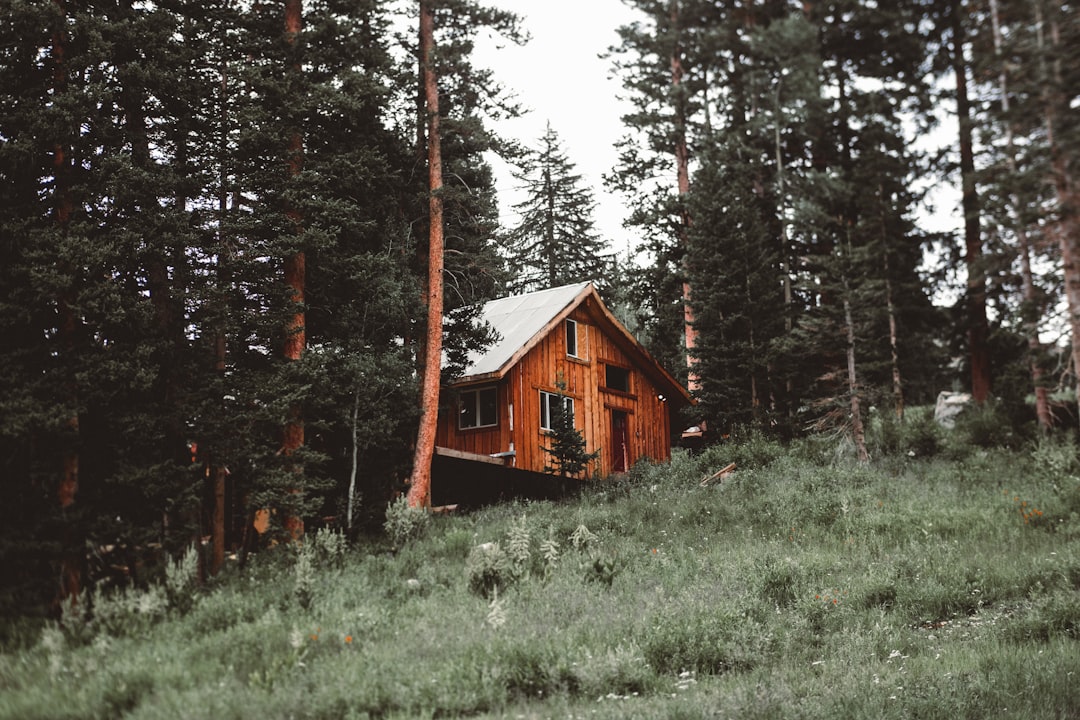 brown wooden house in the woods