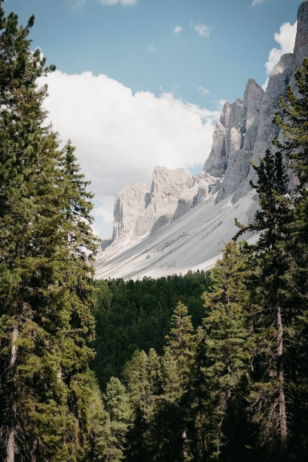 green trees near mountain under white clouds and blue sky during daytime