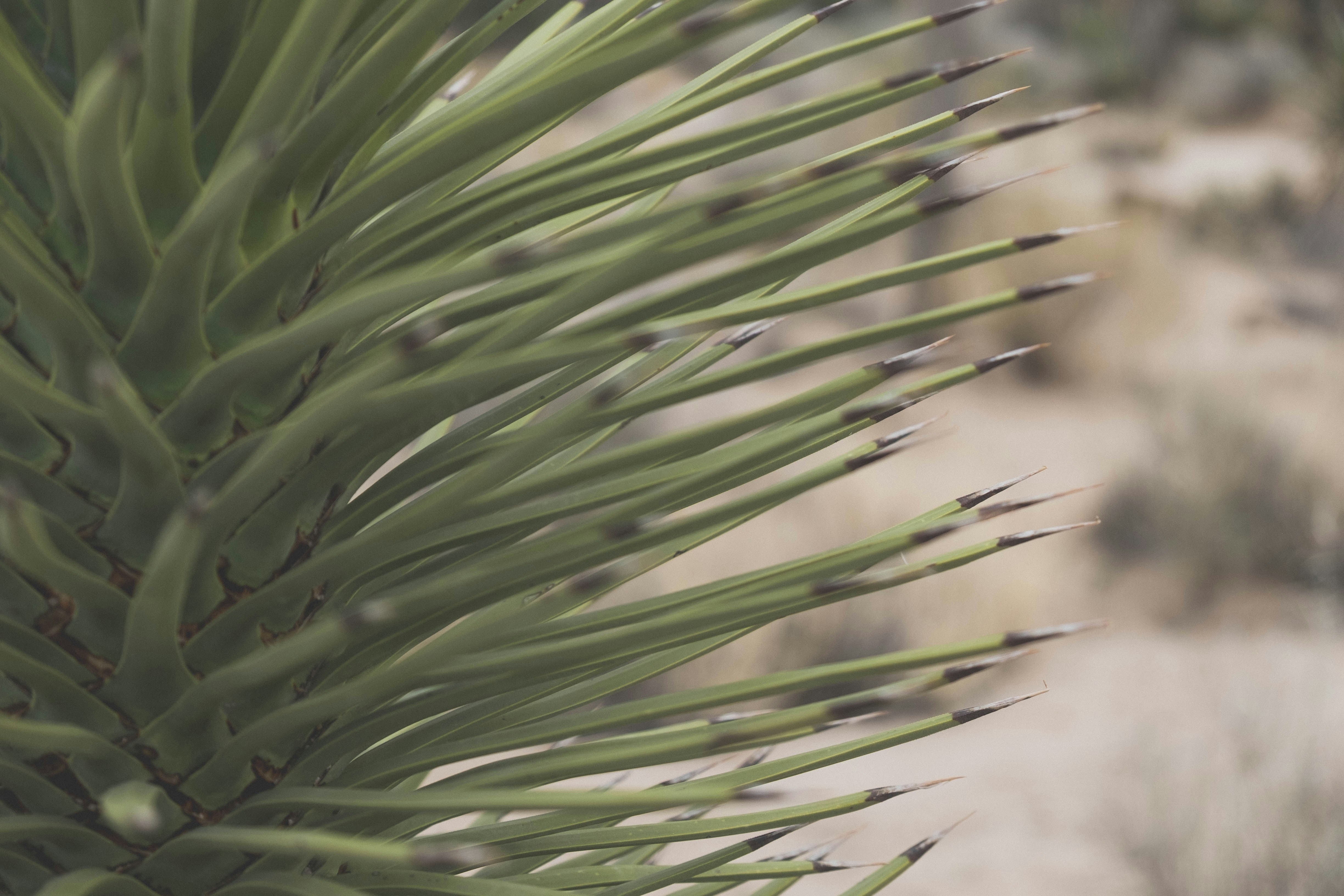 Photo by cortney_chummoungpak